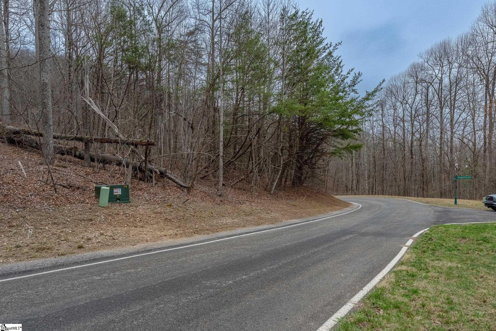00 Indian Pipe Trail Property Photo 2