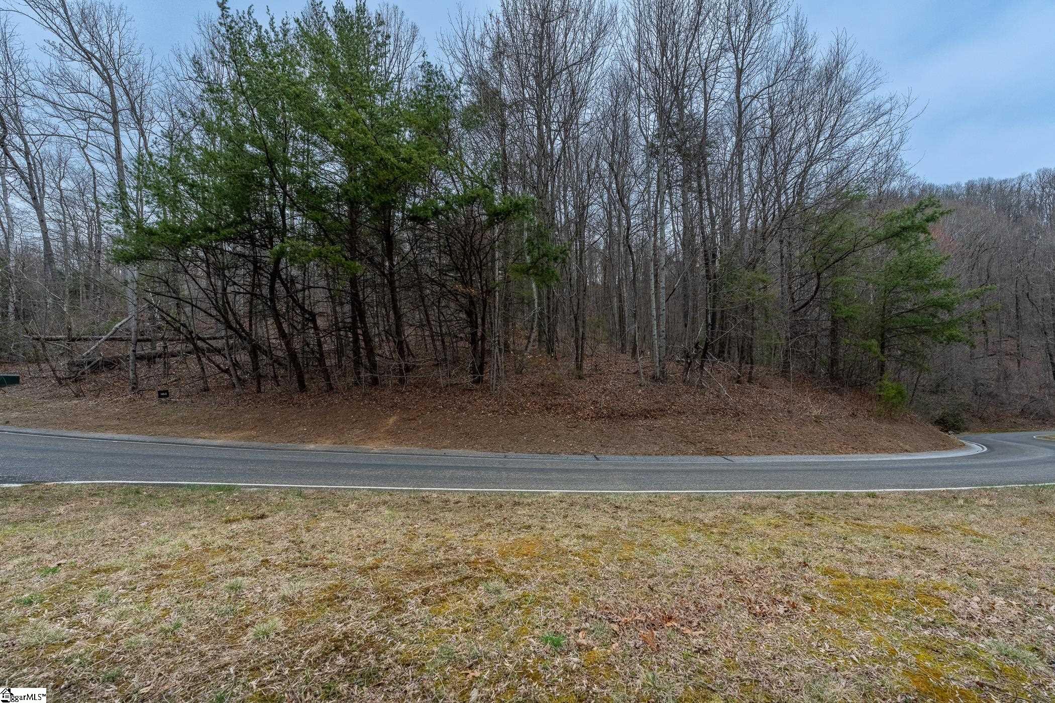 00 Indian Pipe Trail Property Photo 3