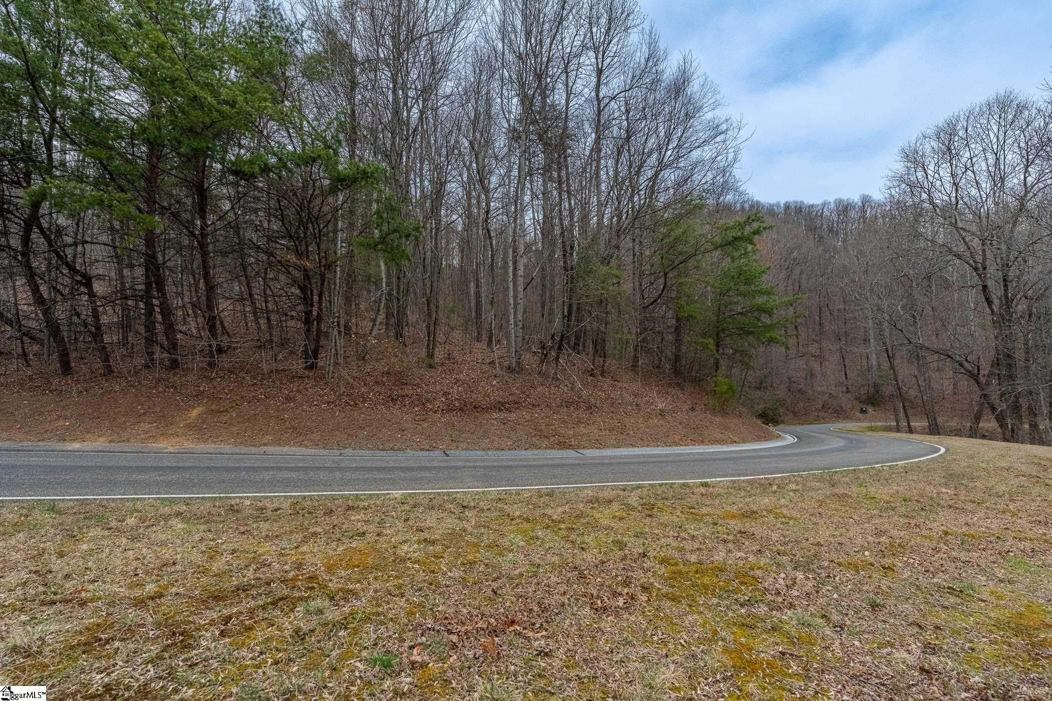 00 Indian Pipe Trail Property Photo 4