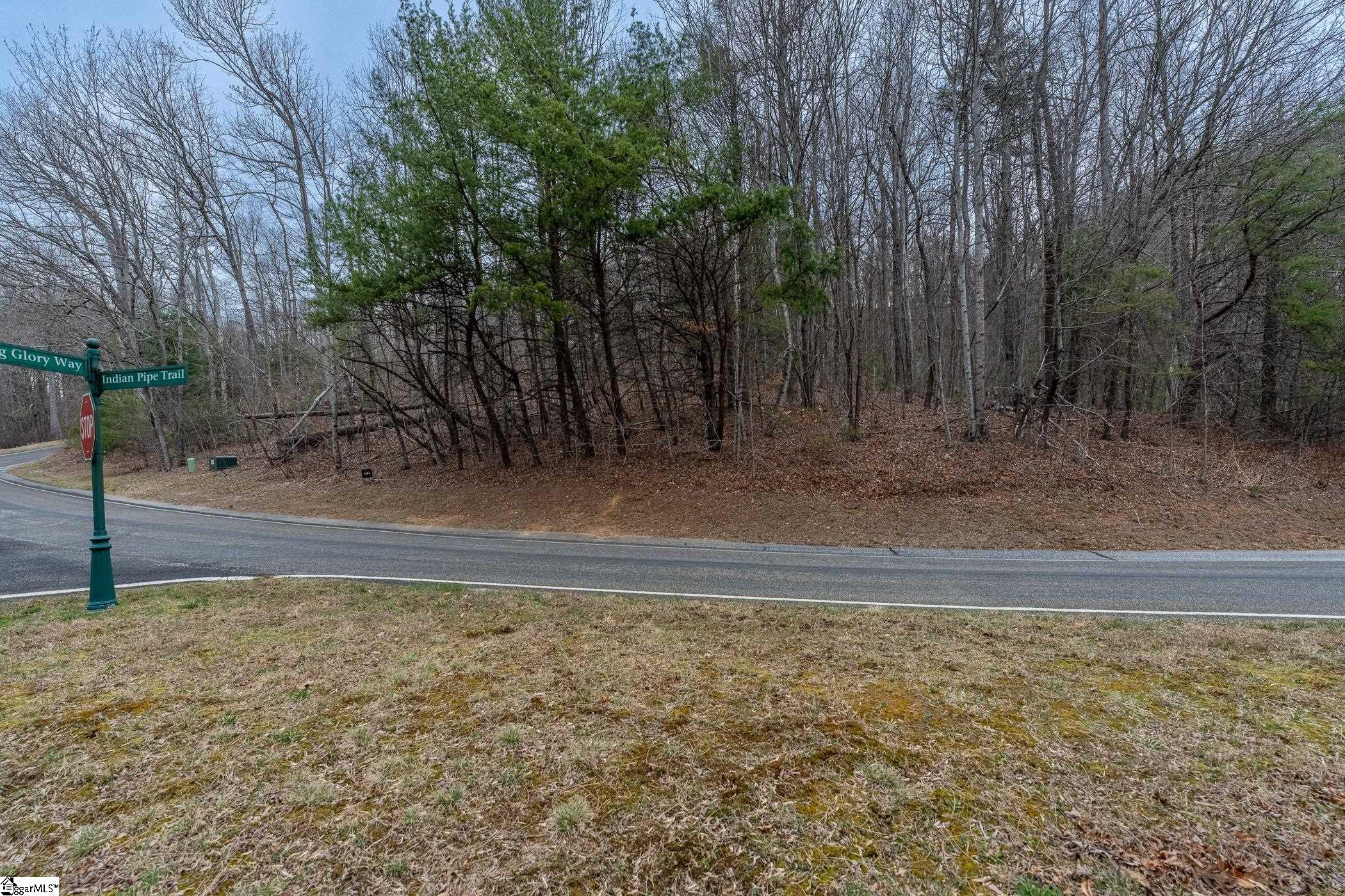 00 Indian Pipe Trail Property Photo 5