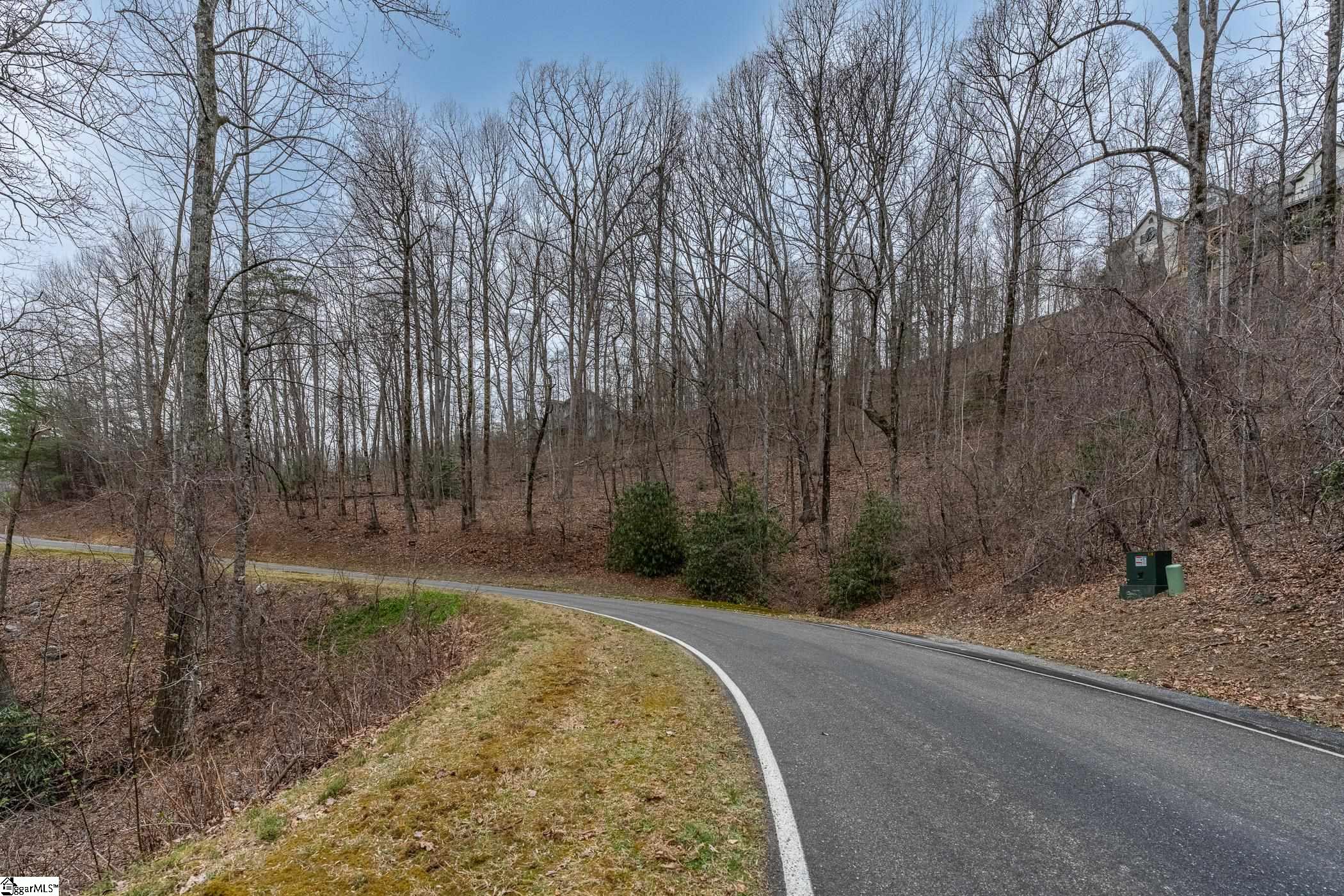 00 Indian Pipe Trail Property Photo 6