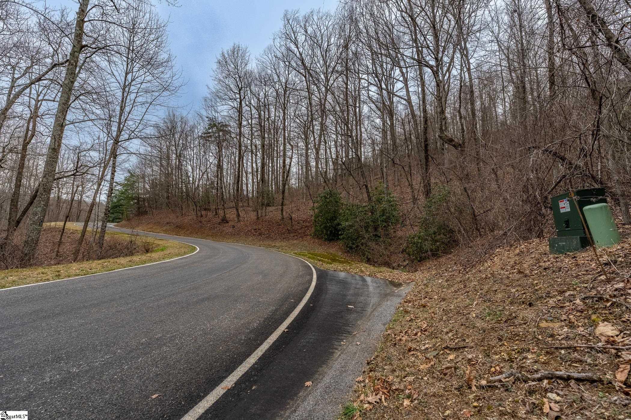 00 Indian Pipe Trail Property Photo 7