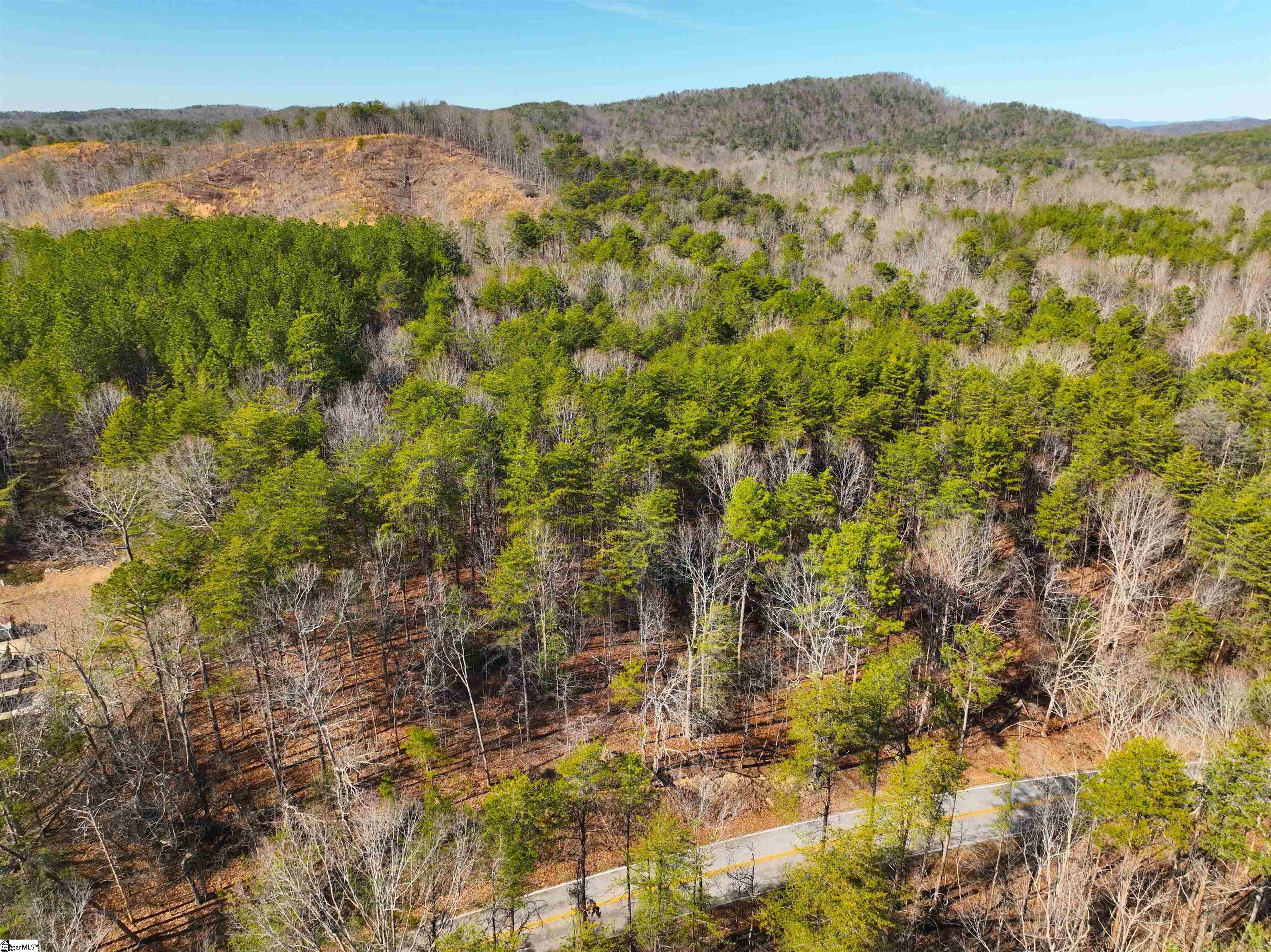 Tract B Old Unity Road Property Photo 4