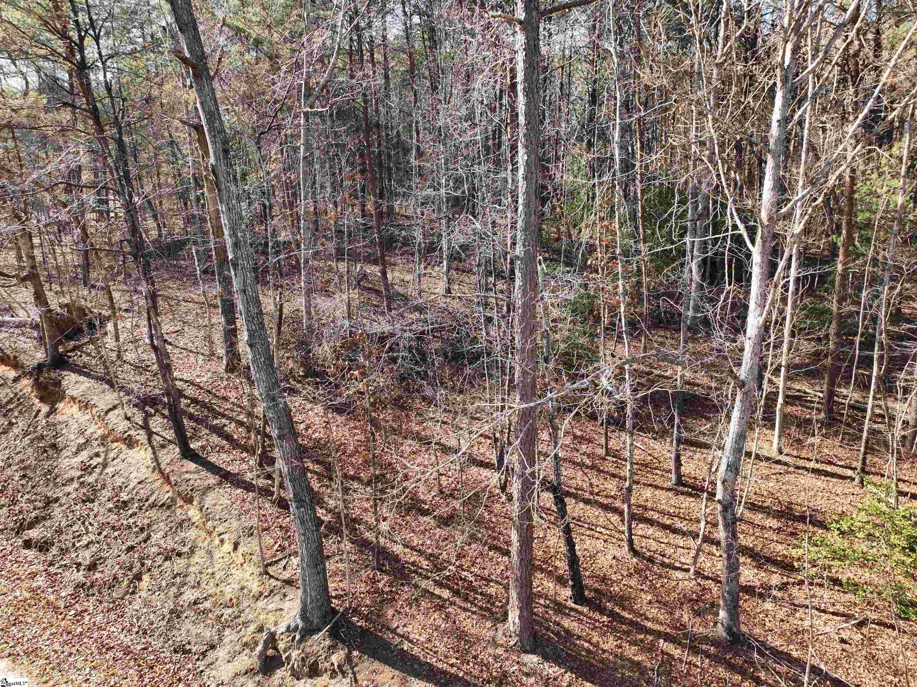 Tract B Old Unity Road Property Photo 8