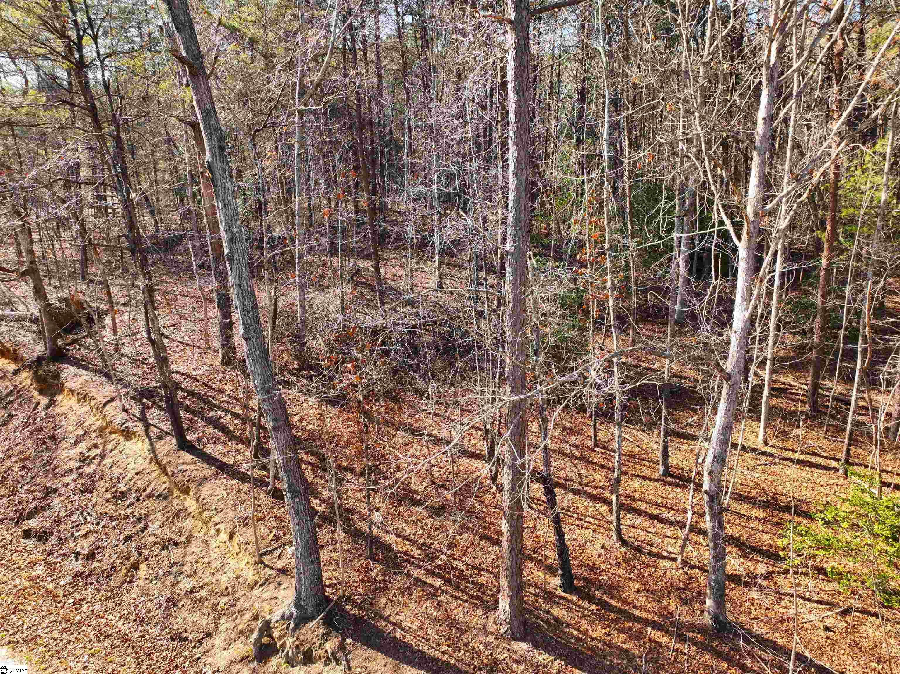 Tract B Old Unity Road Property Photo 8