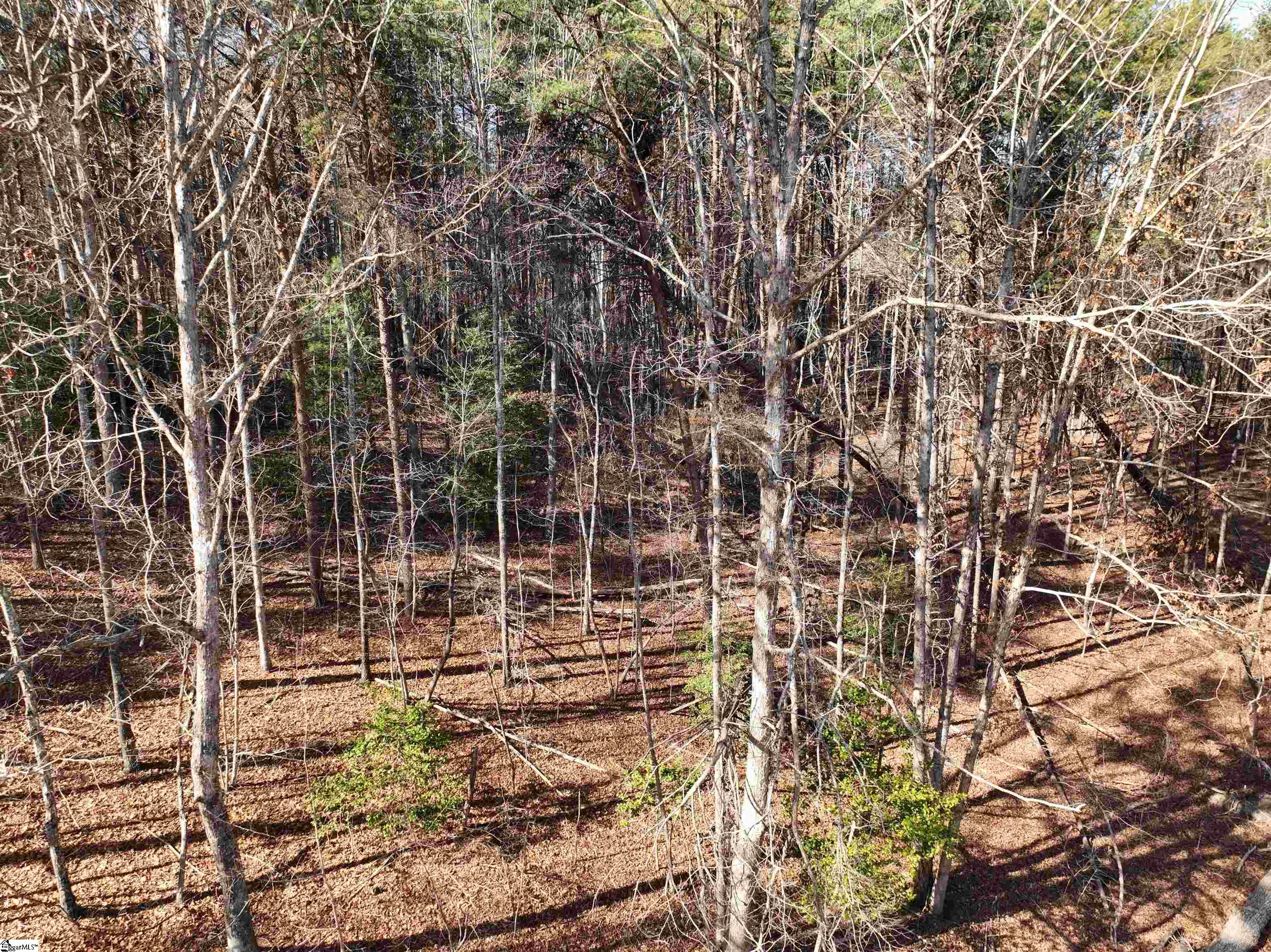 Tract B Old Unity Road Property Photo 9