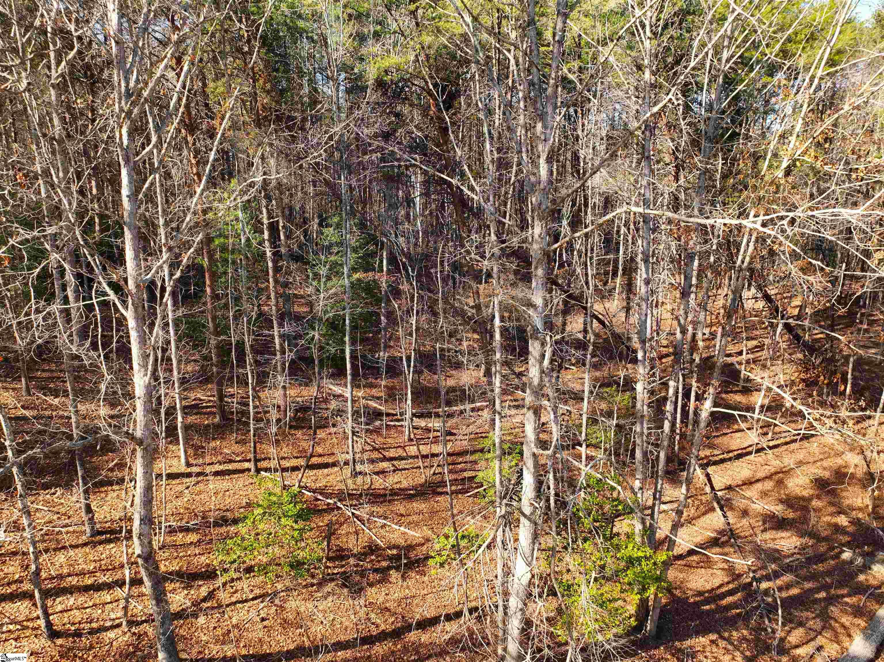 Tract B Old Unity Road Property Photo 9