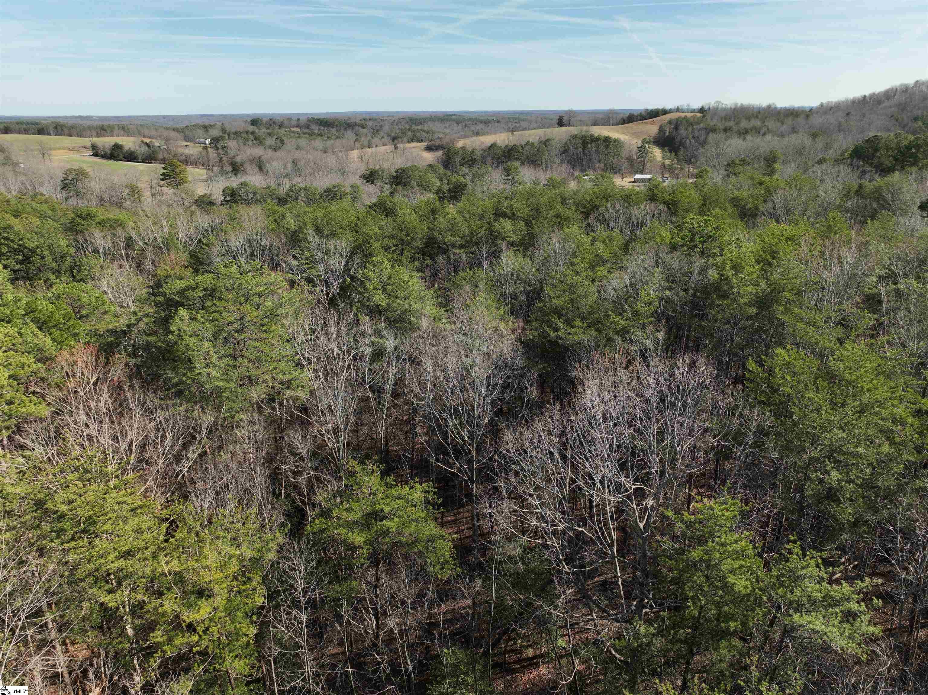 Tract B Old Unity Road Property Photo 10