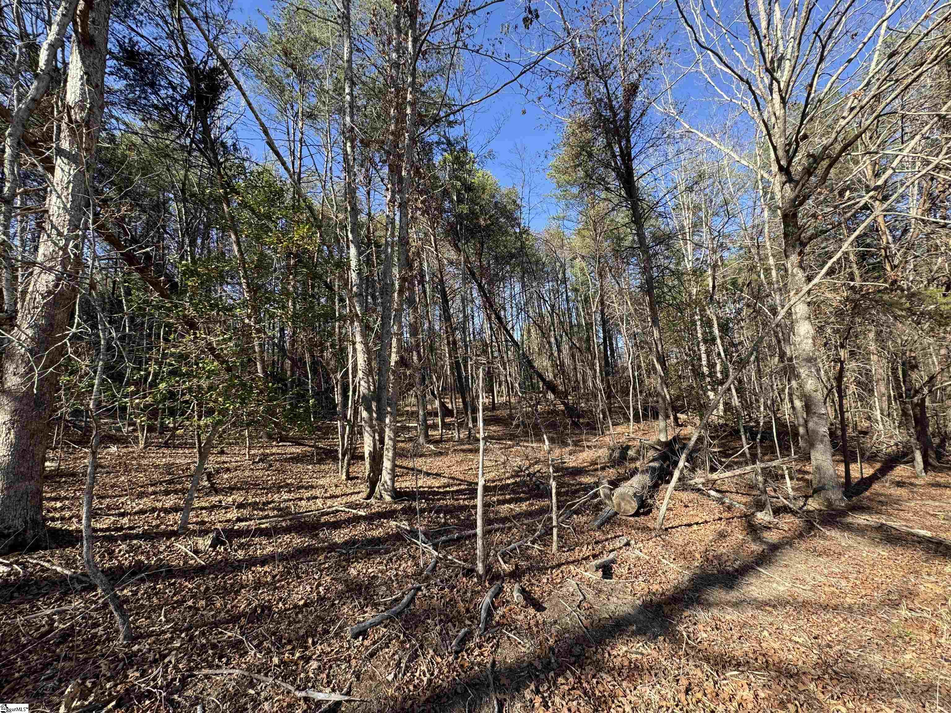 Tract B Old Unity Road Property Photo 11