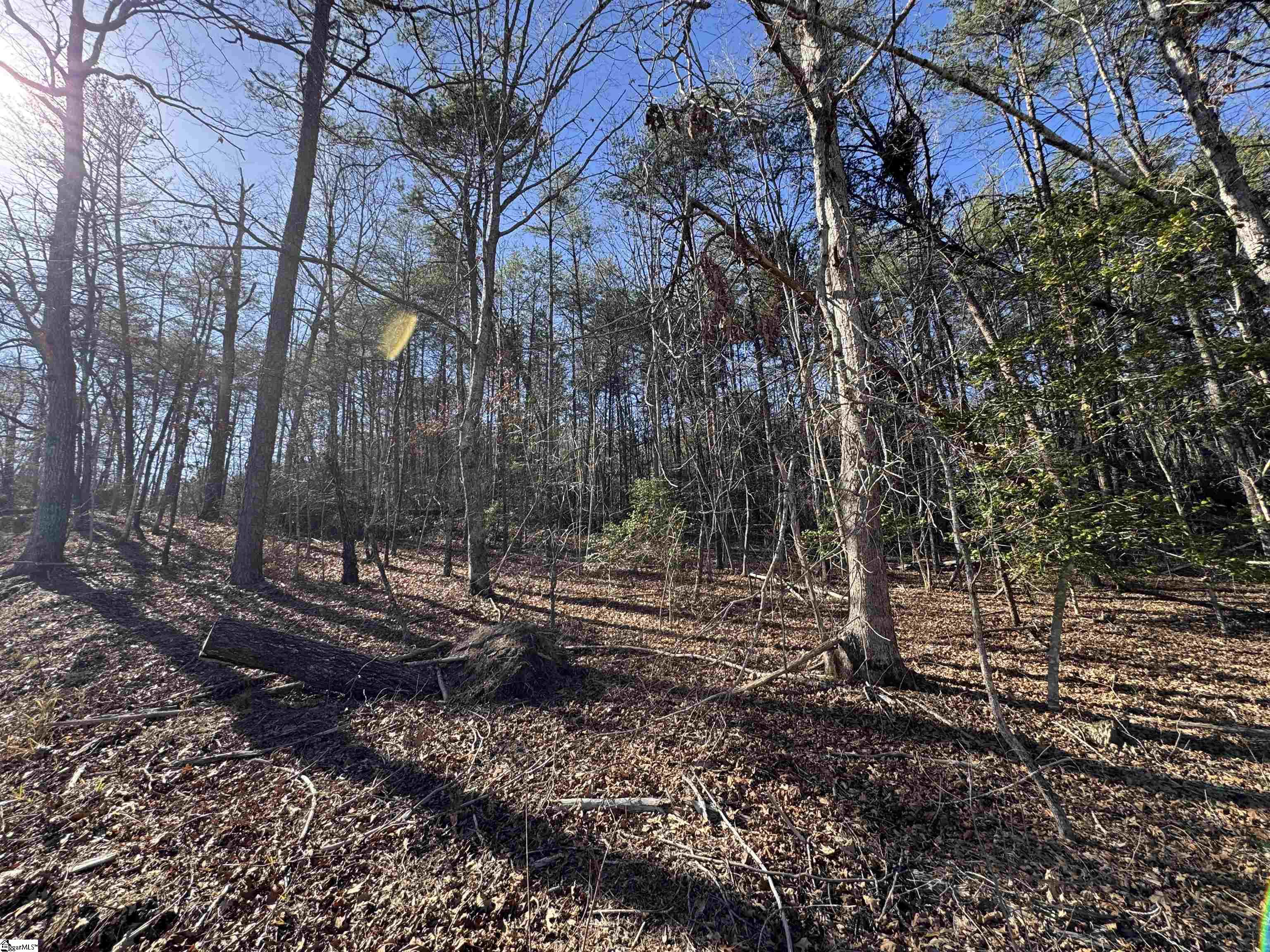Tract B Old Unity Road Property Photo 12