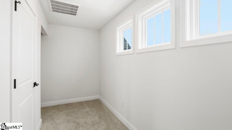 223 Chapel Creek Court Property Photo 19