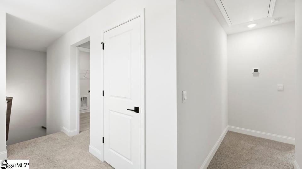 223 Chapel Creek Court Property Photo 20