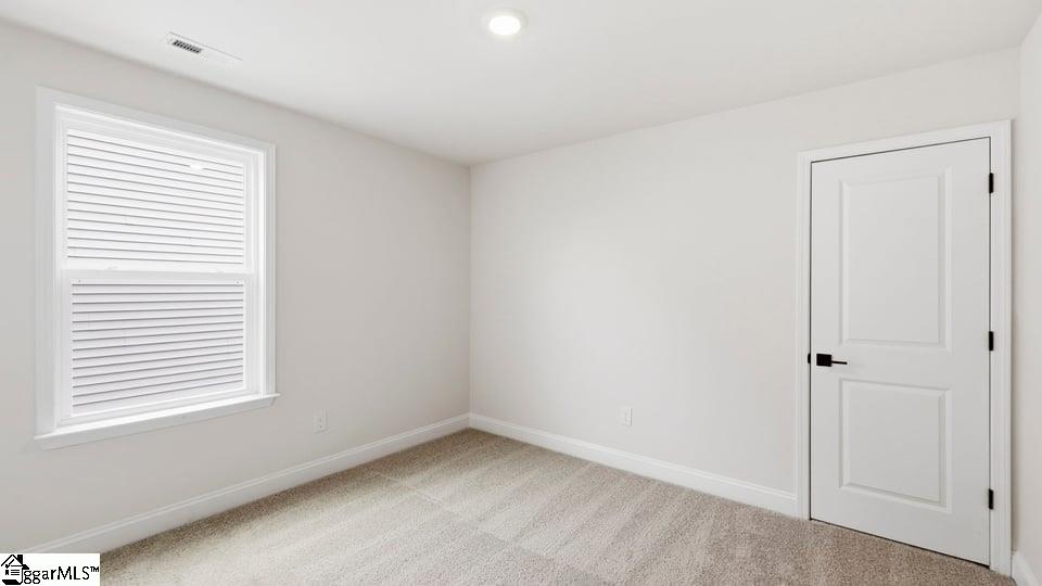 223 Chapel Creek Court Property Photo 21