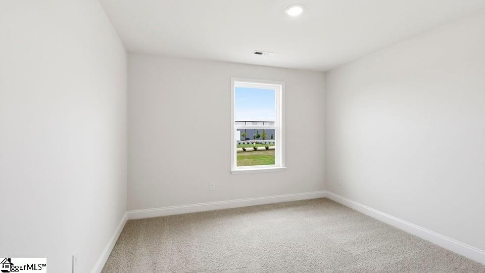 223 Chapel Creek Court Property Photo 23