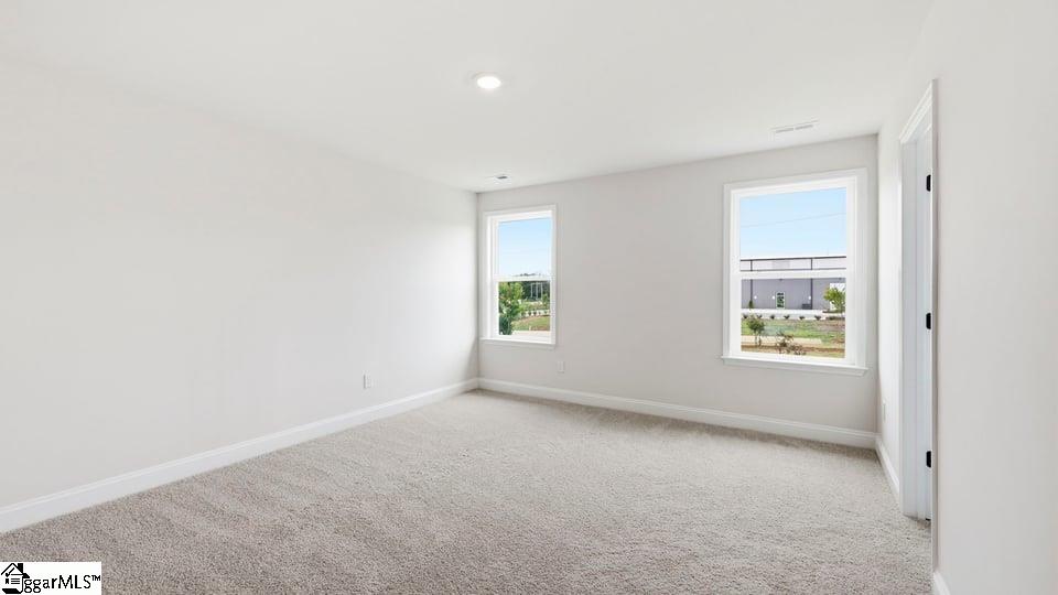 223 Chapel Creek Court Property Photo 26