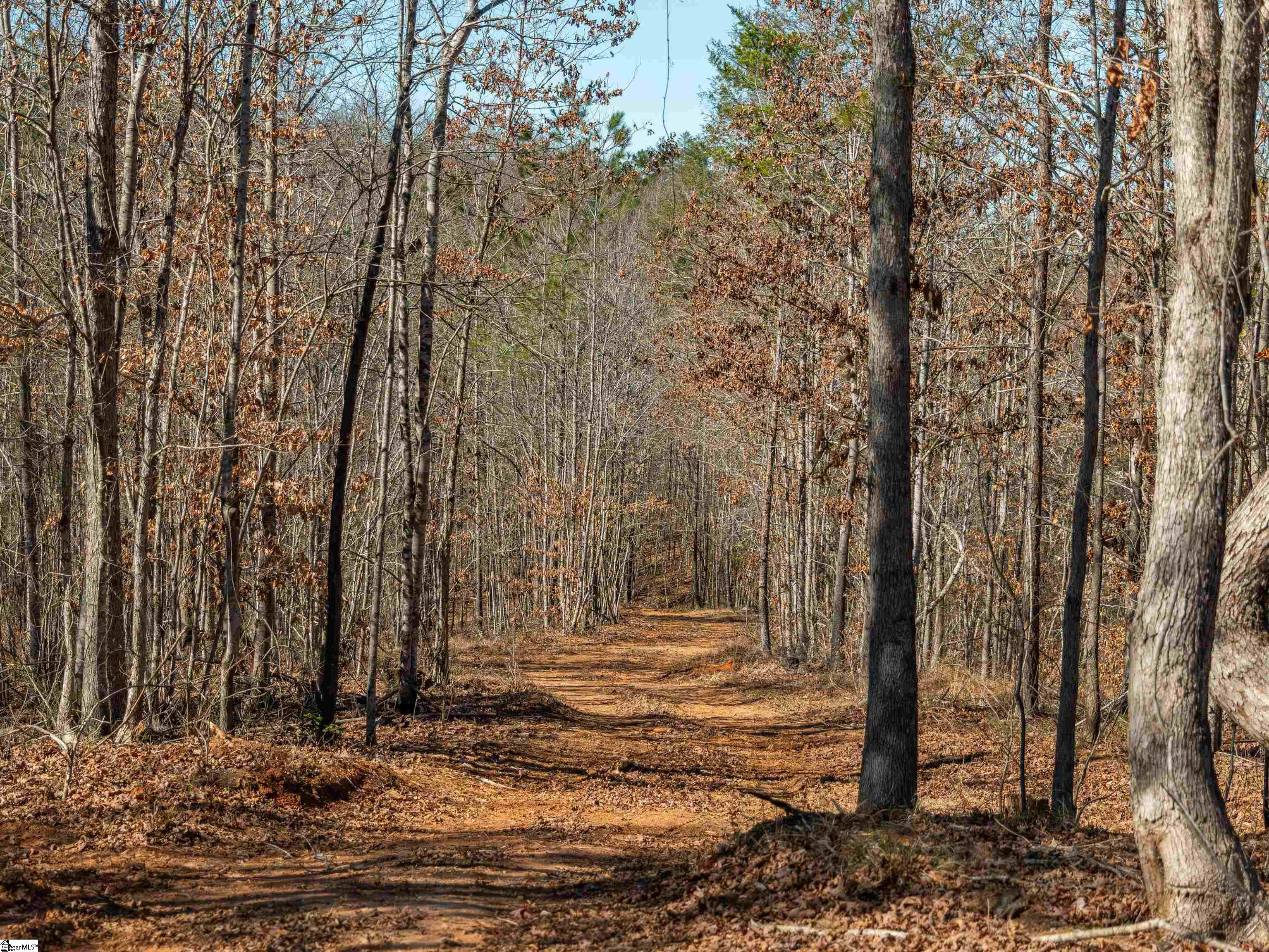 00 Crowe Creek Road Property Photo 9