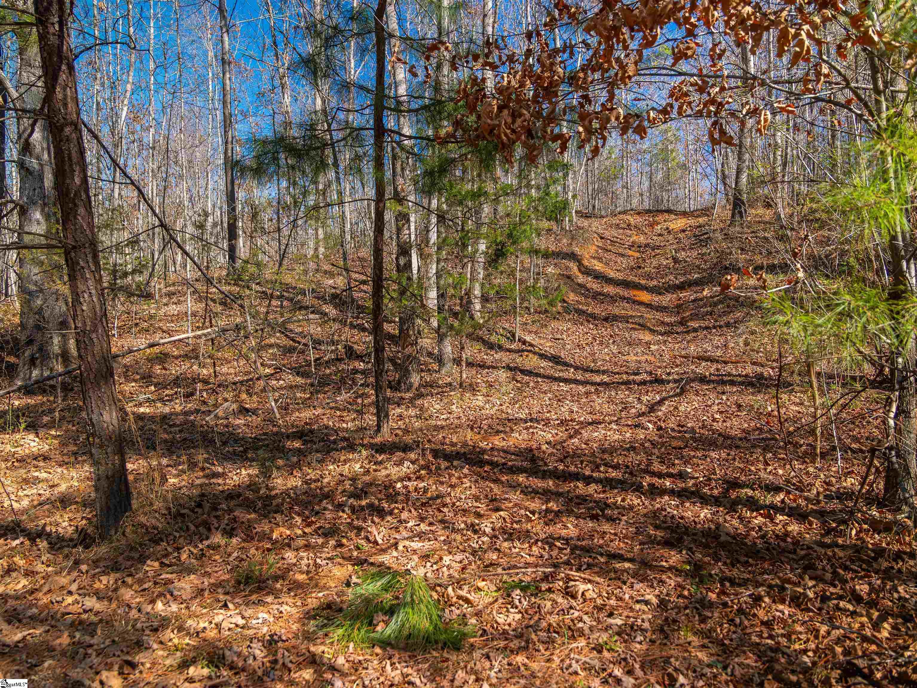 00 Crowe Creek Road Property Photo 10