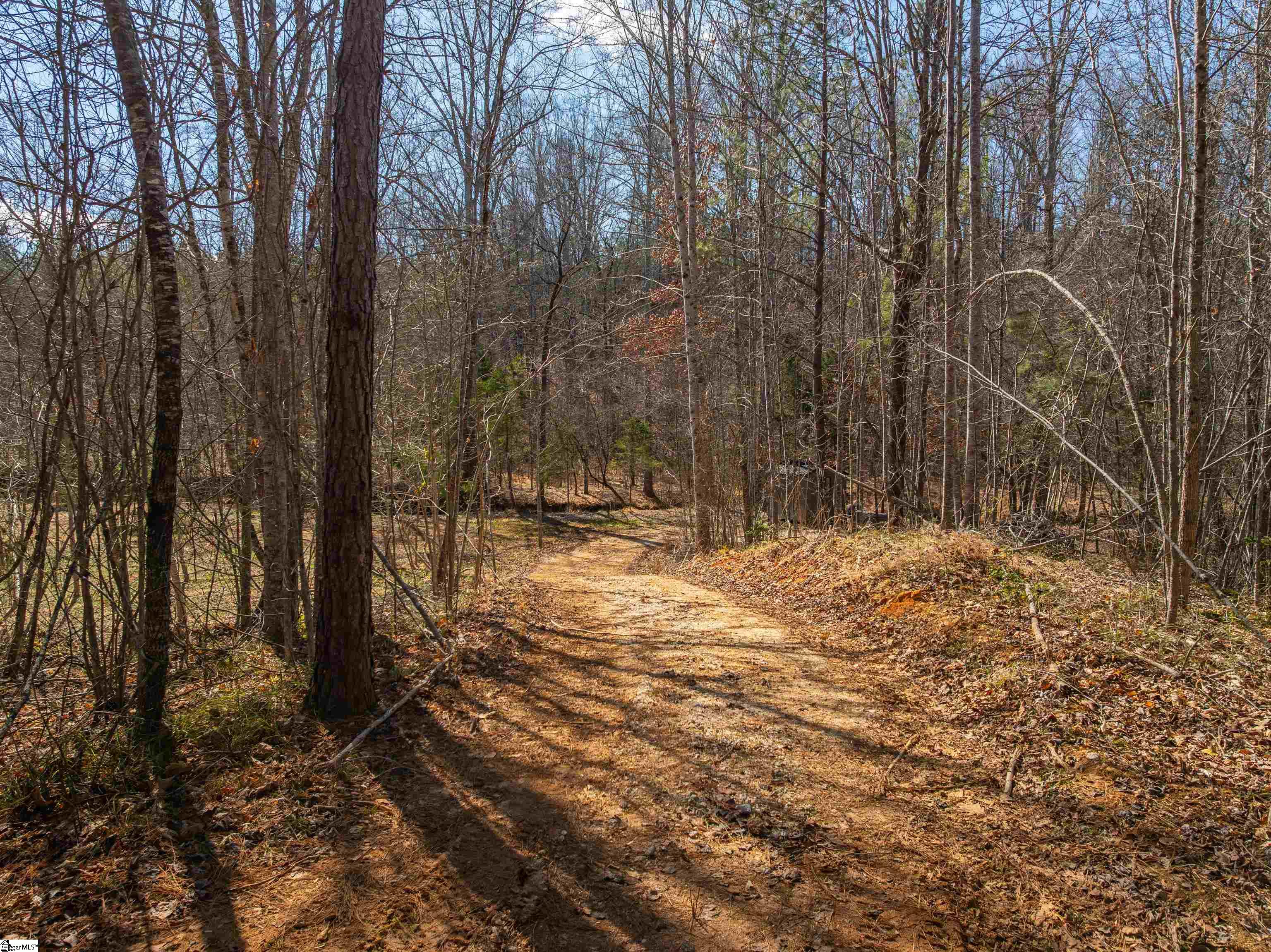00 Crowe Creek Road Property Photo 14