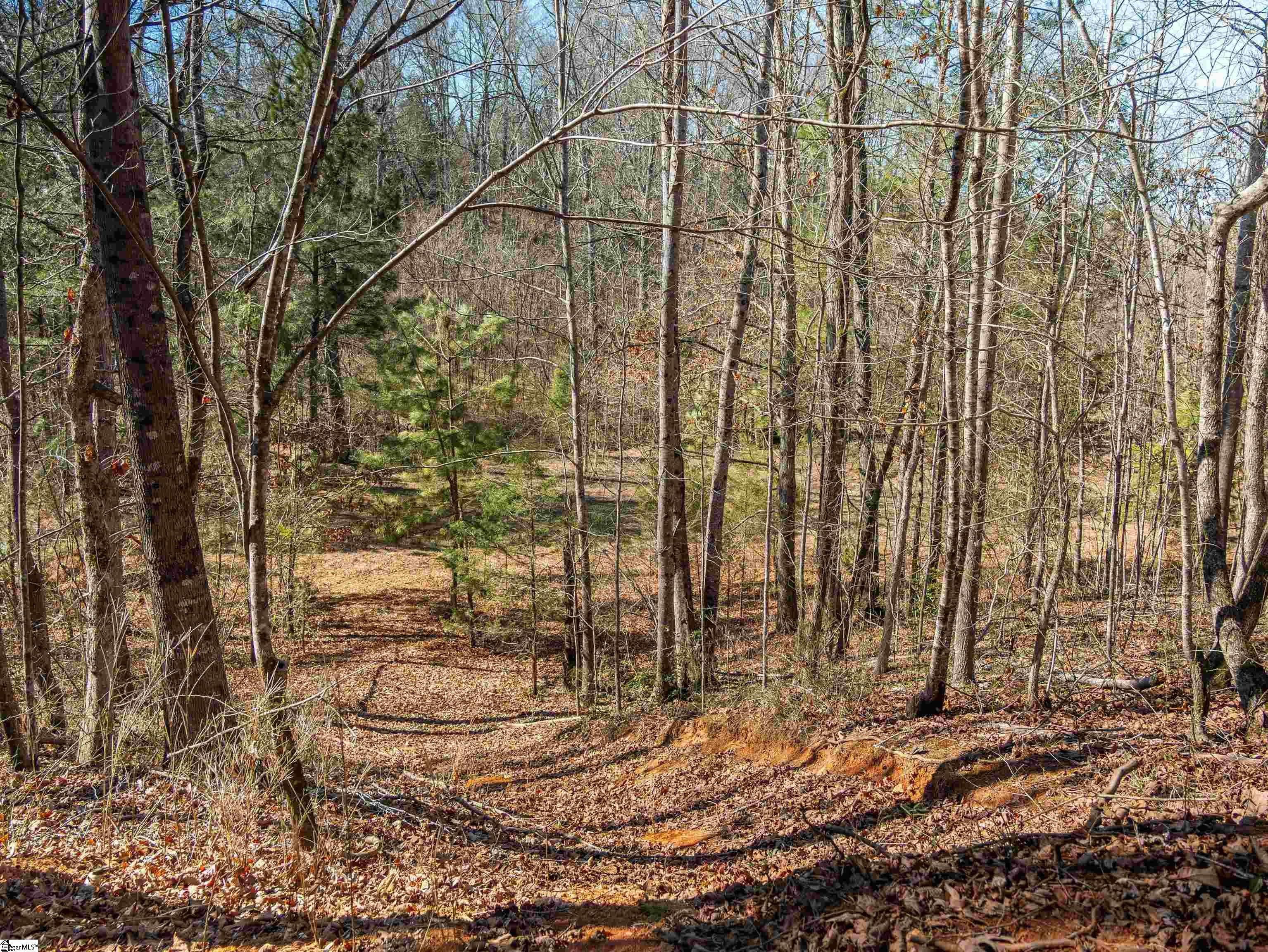 00 Crowe Creek Road Property Photo 15