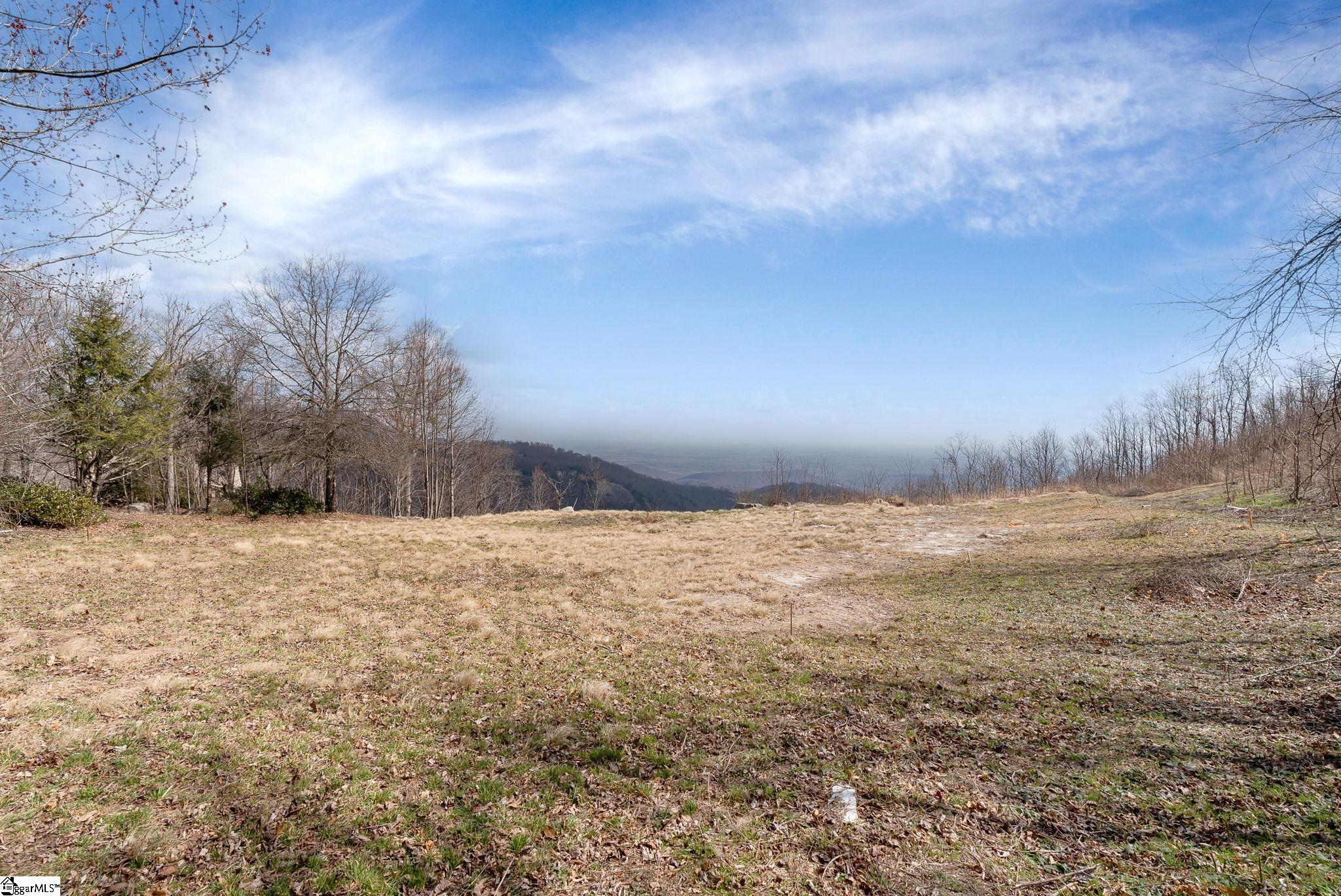 99 The Cliffs Parkway Property Photo 6