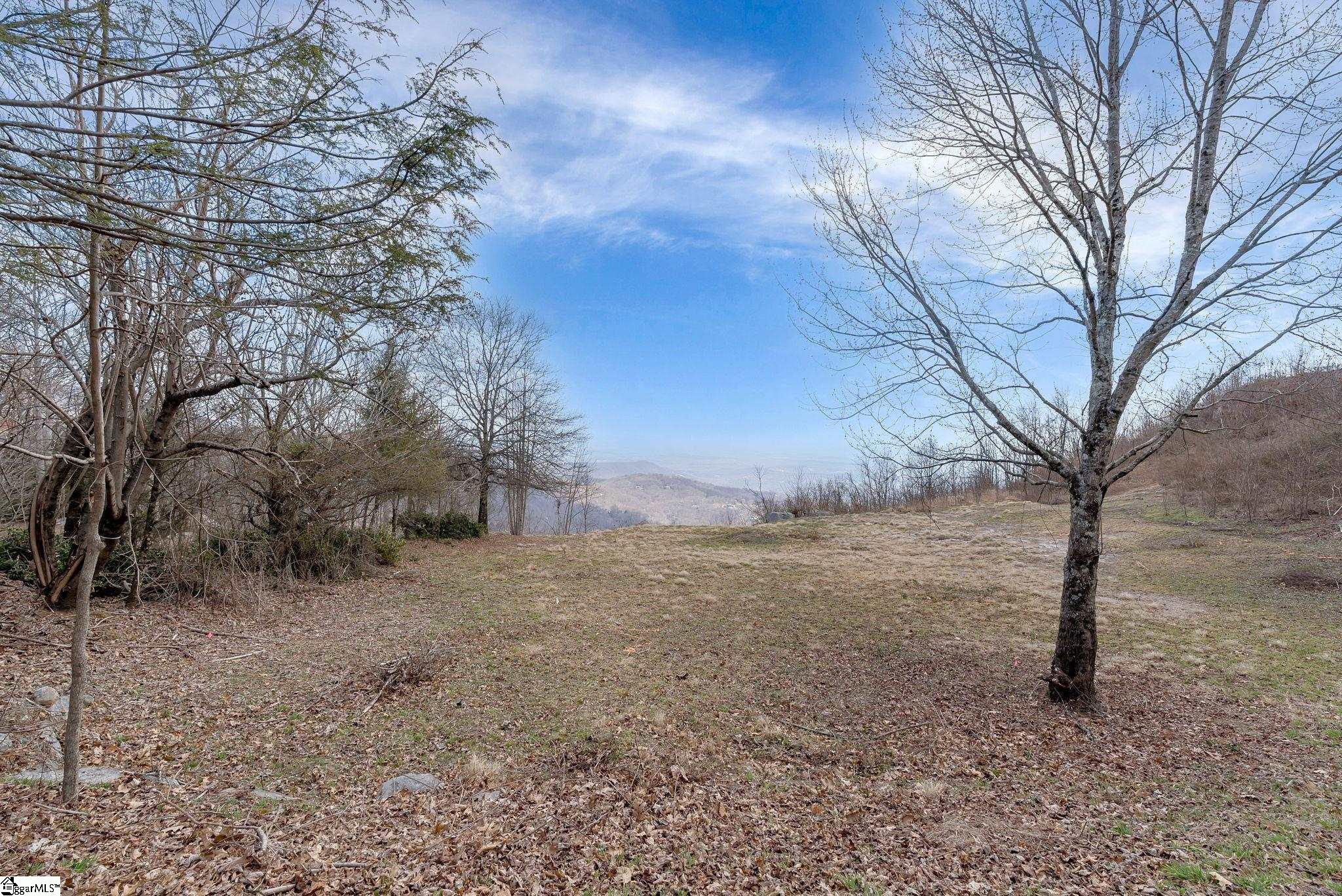 99 The Cliffs Parkway Property Photo 7