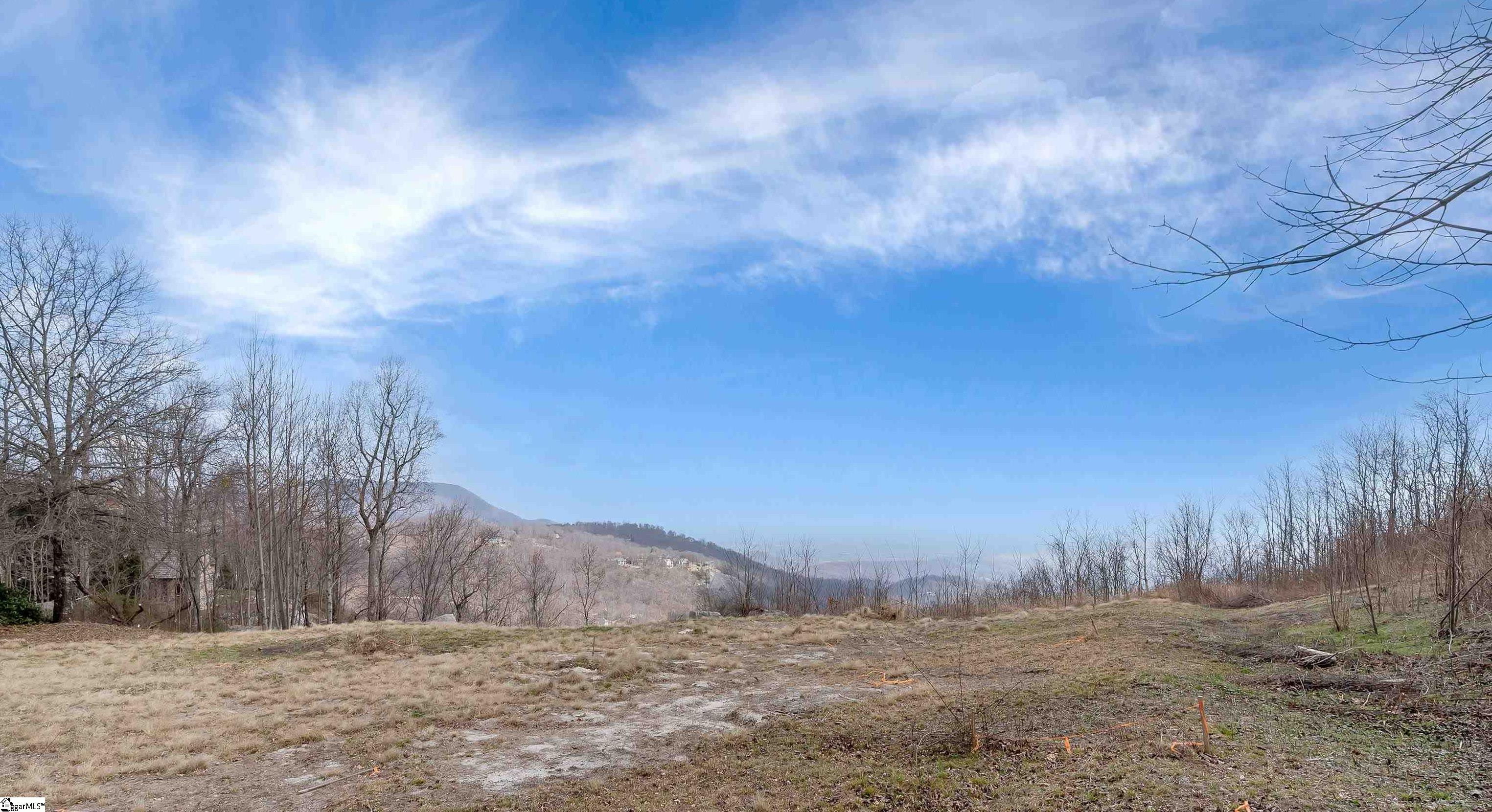 97 The Cliffs Parkway Property Photo 4