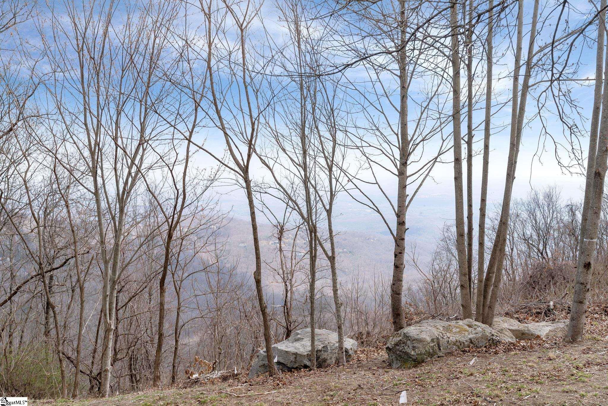 97 The Cliffs Parkway Property Photo 5