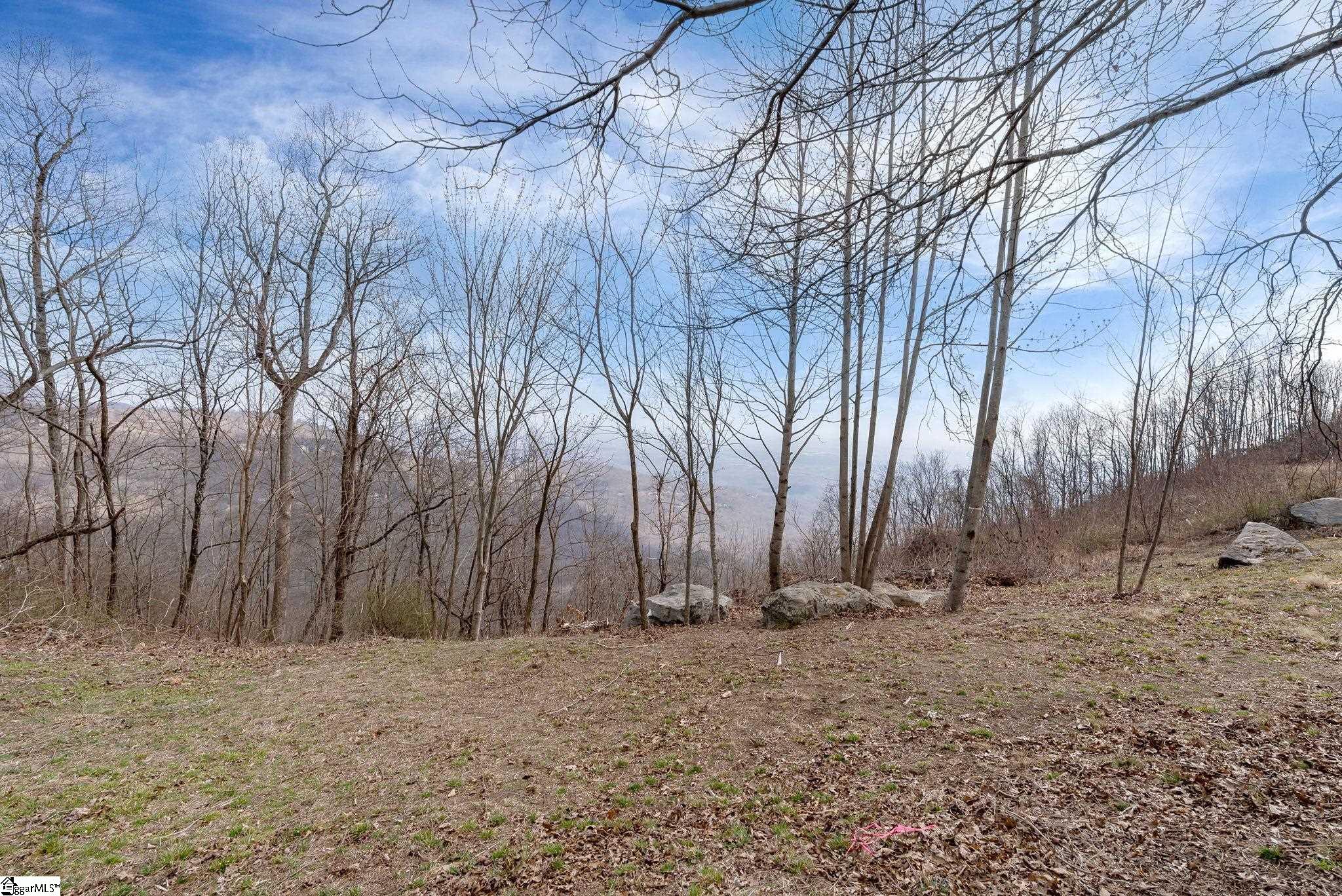 97 The Cliffs Parkway Property Photo 6