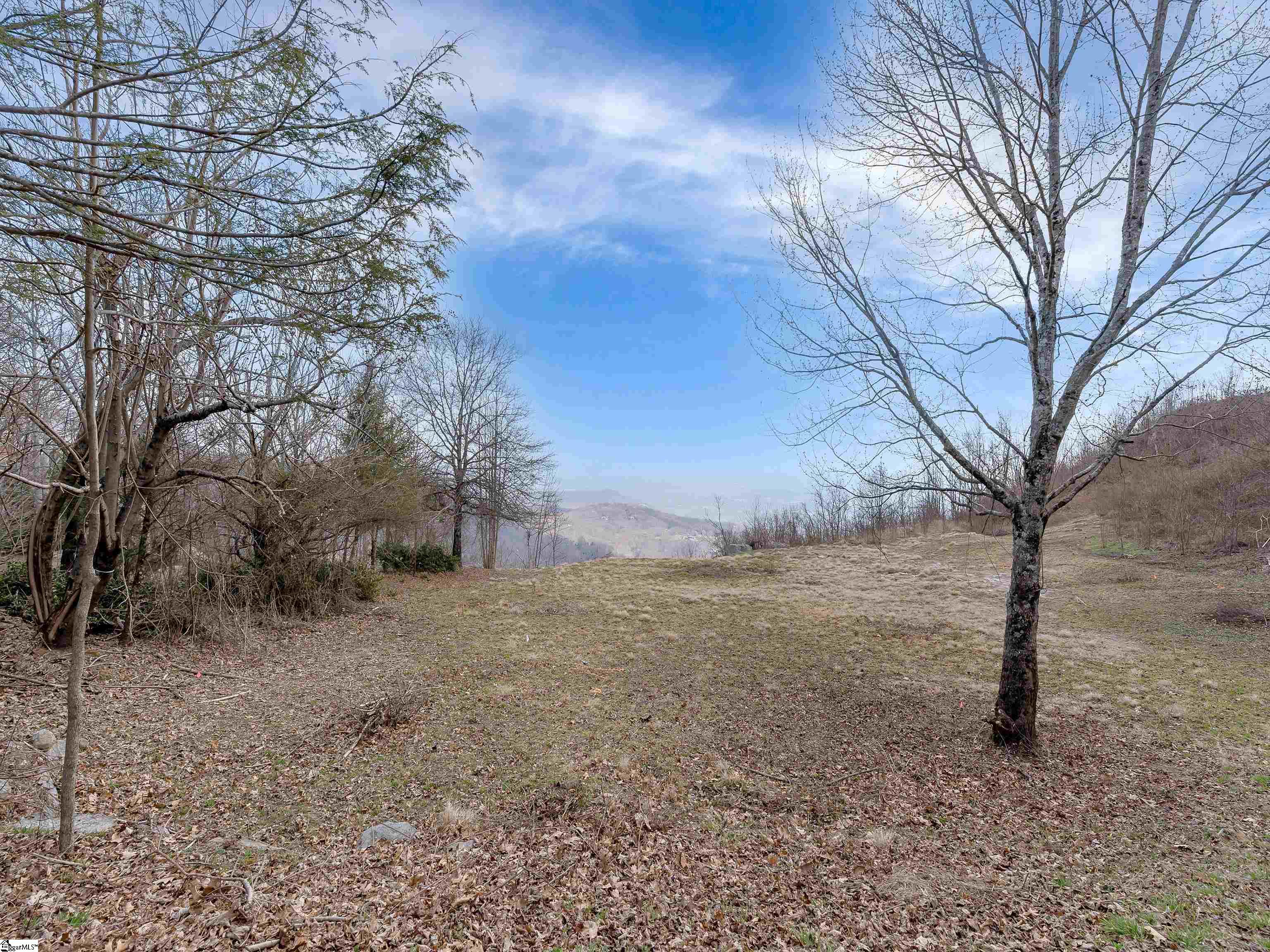 97 The Cliffs Parkway Property Photo 7