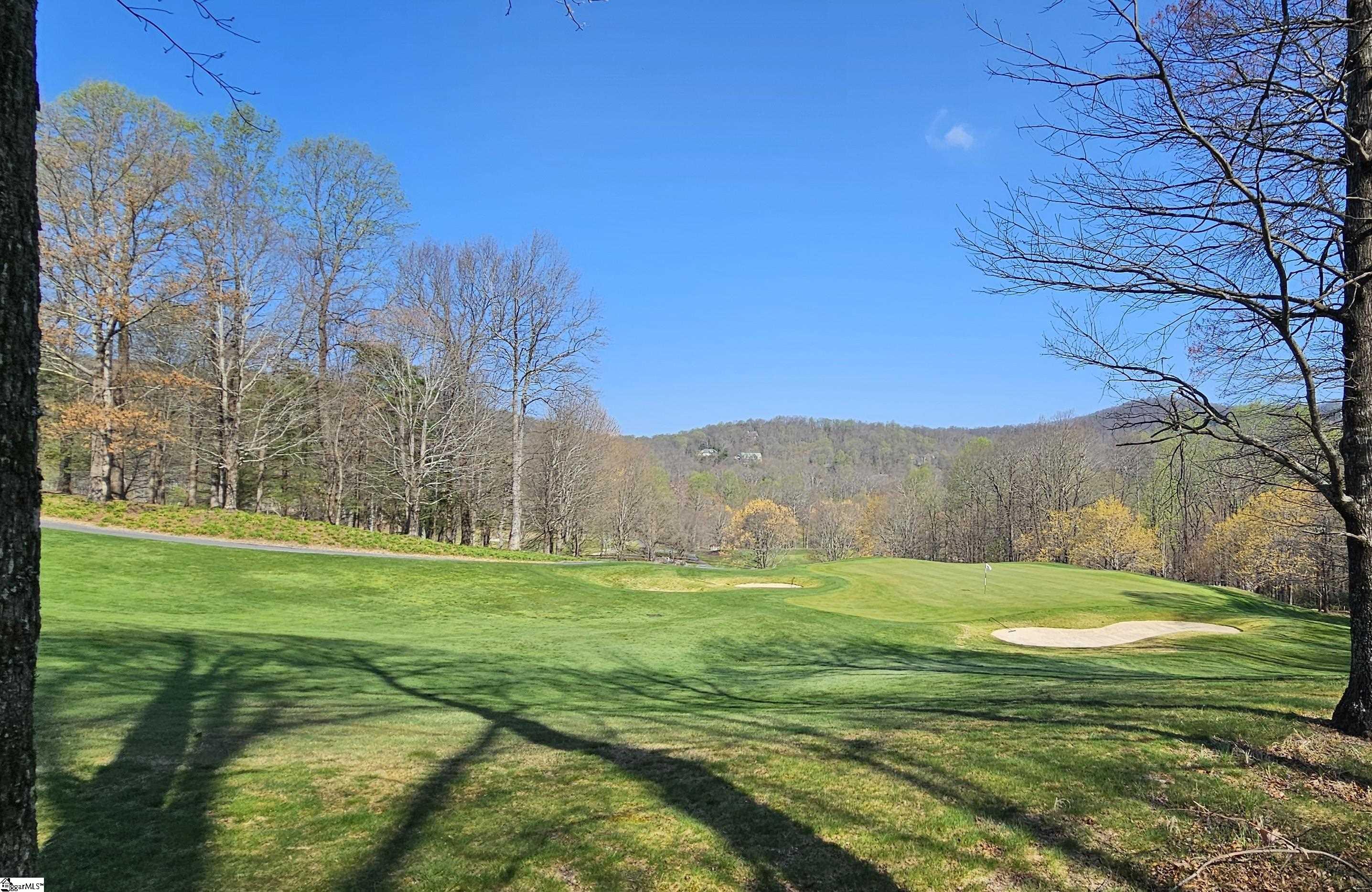 66 The Cliffs Parkway Property Photo 4