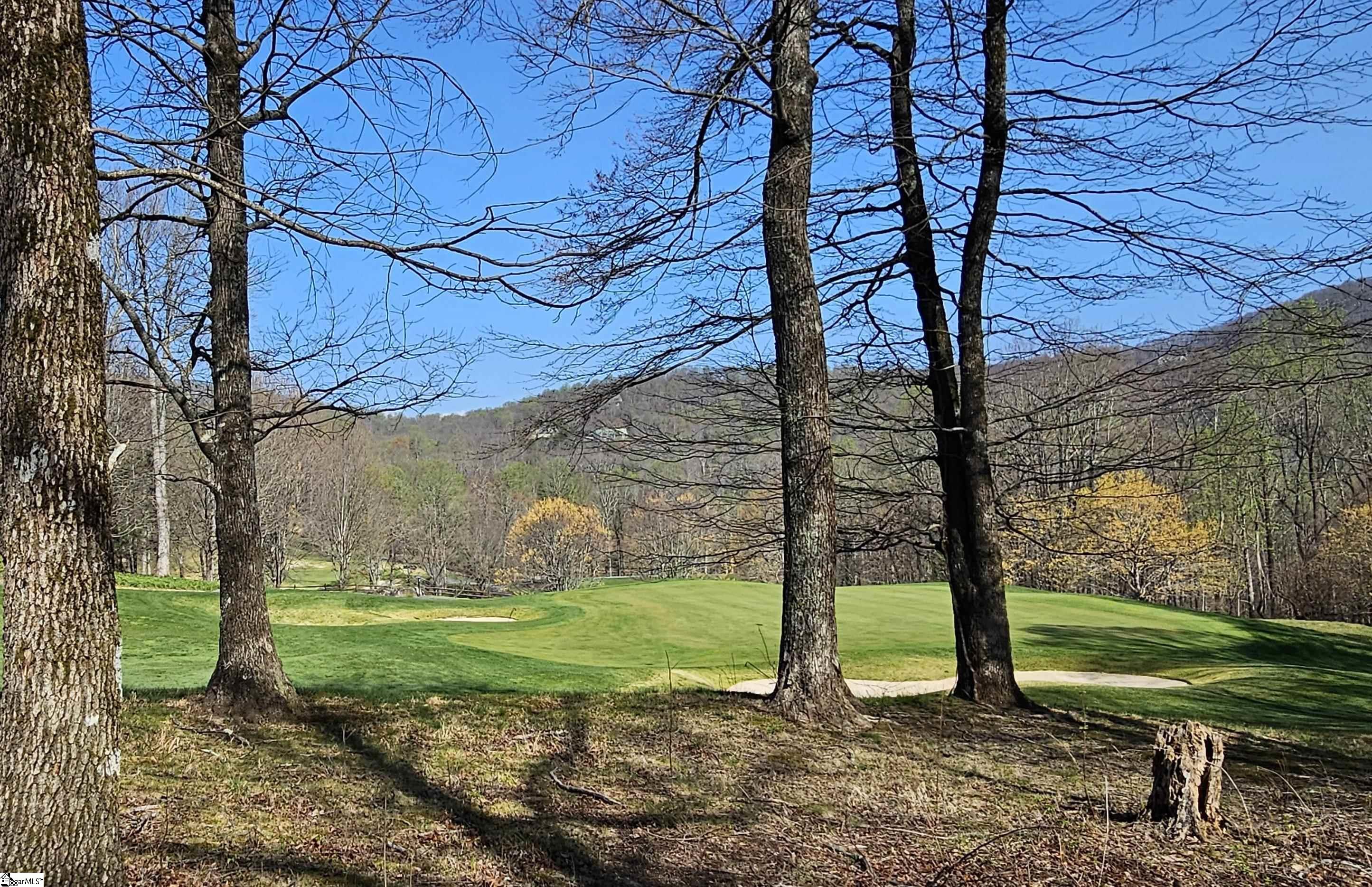 66 The Cliffs Parkway Property Photo 7