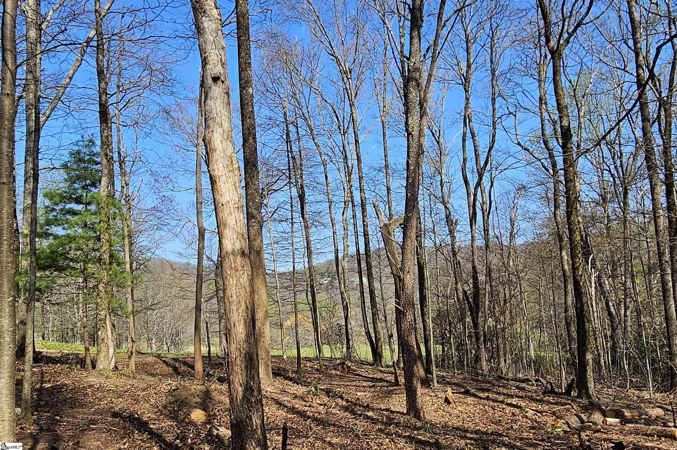 66 The Cliffs Parkway Property Photo 8