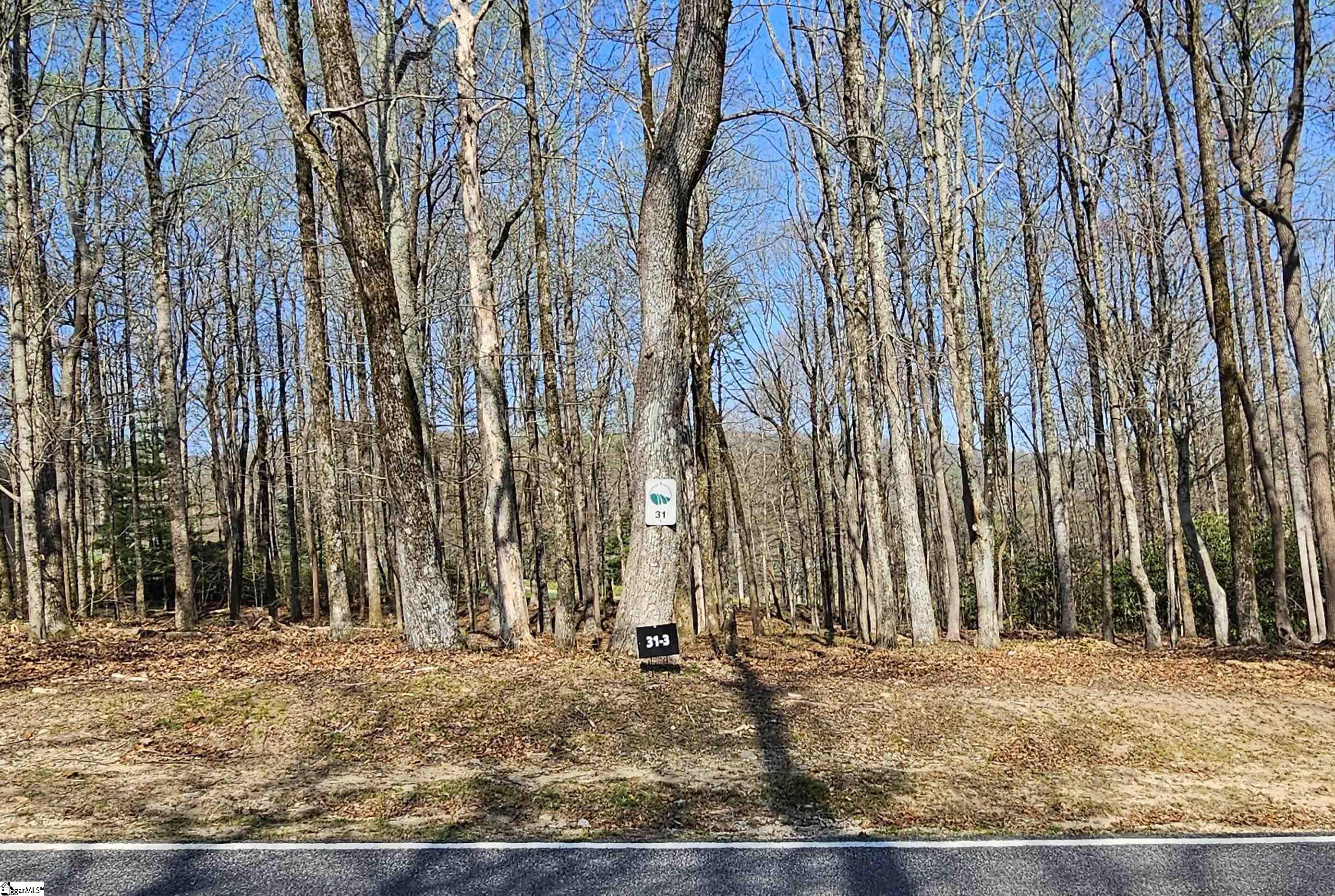 66 The Cliffs Parkway Property Photo 9