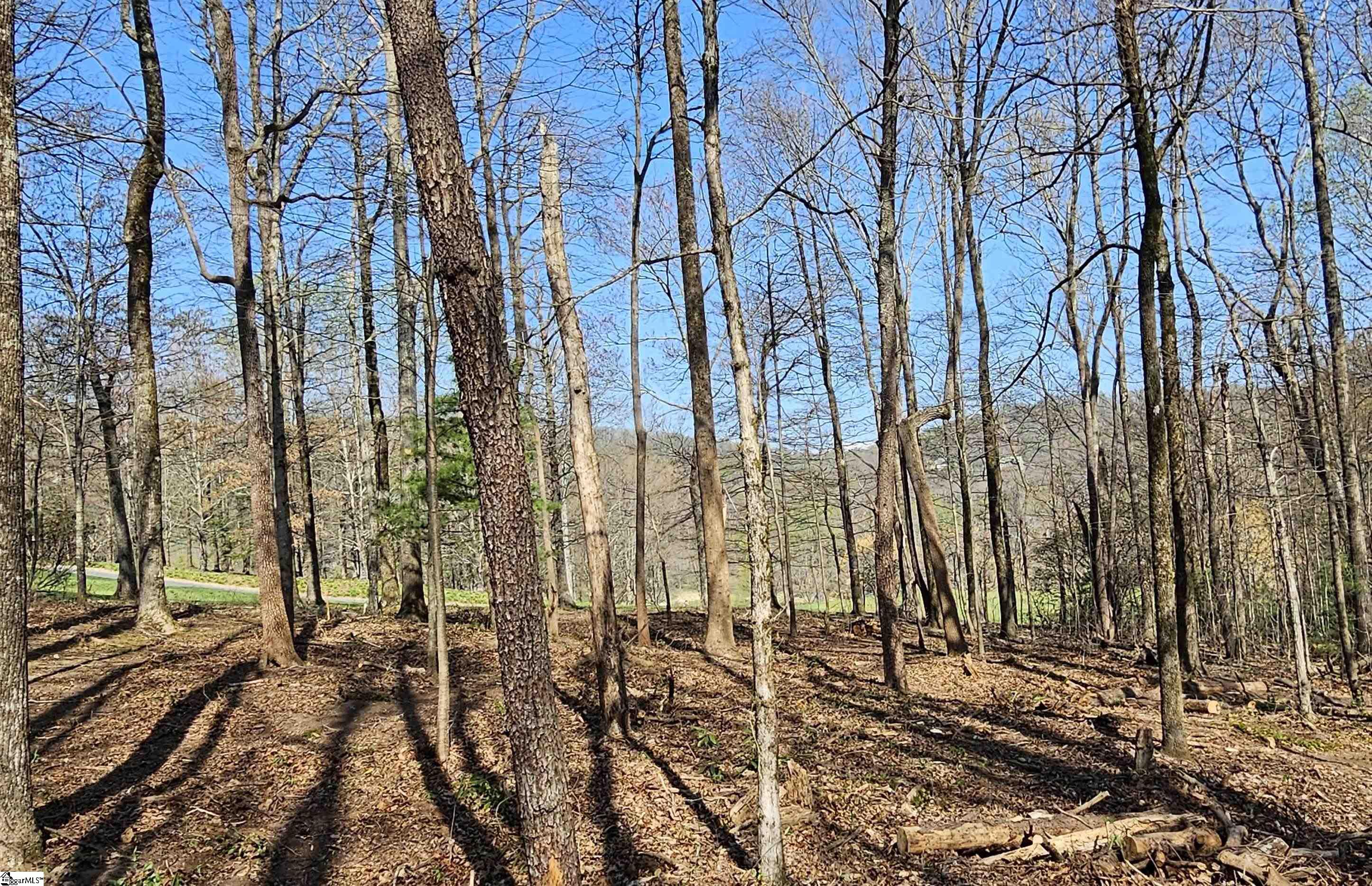 66 The Cliffs Parkway Property Photo 10