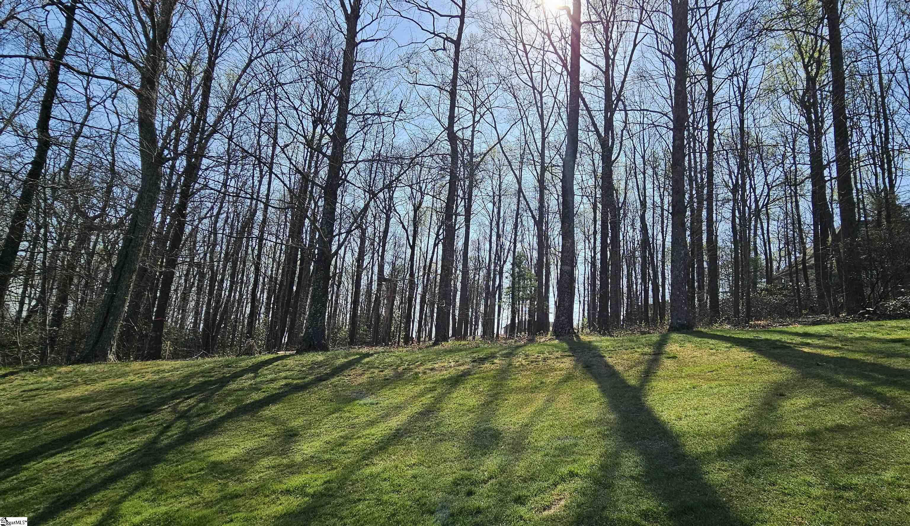 66 The Cliffs Parkway Property Photo 12