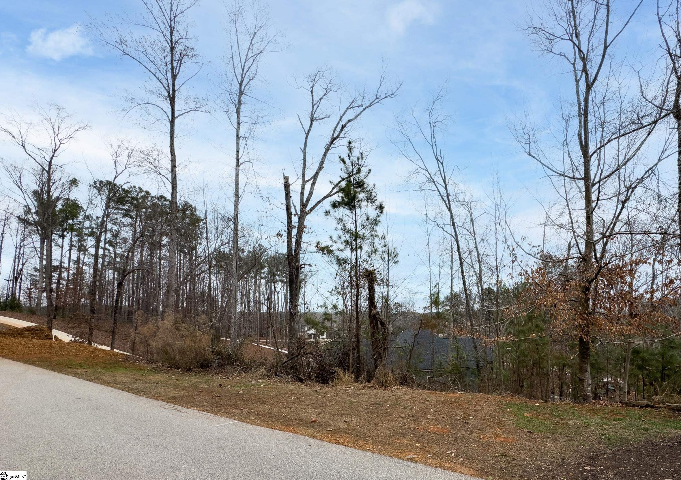 Lot 17 Retreat Pointe Road Property Photo 4
