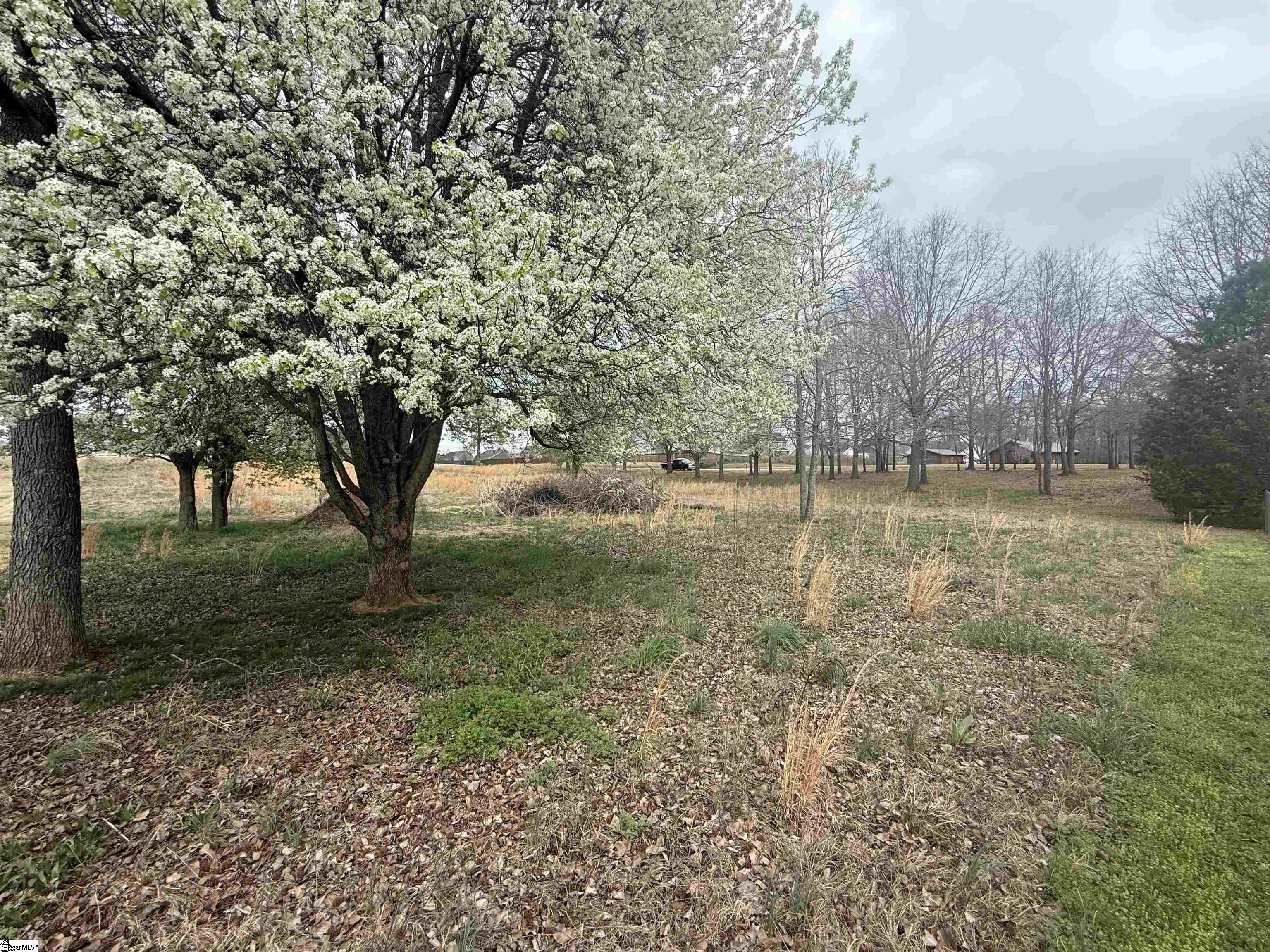 00 Perry Road Property Photo 4