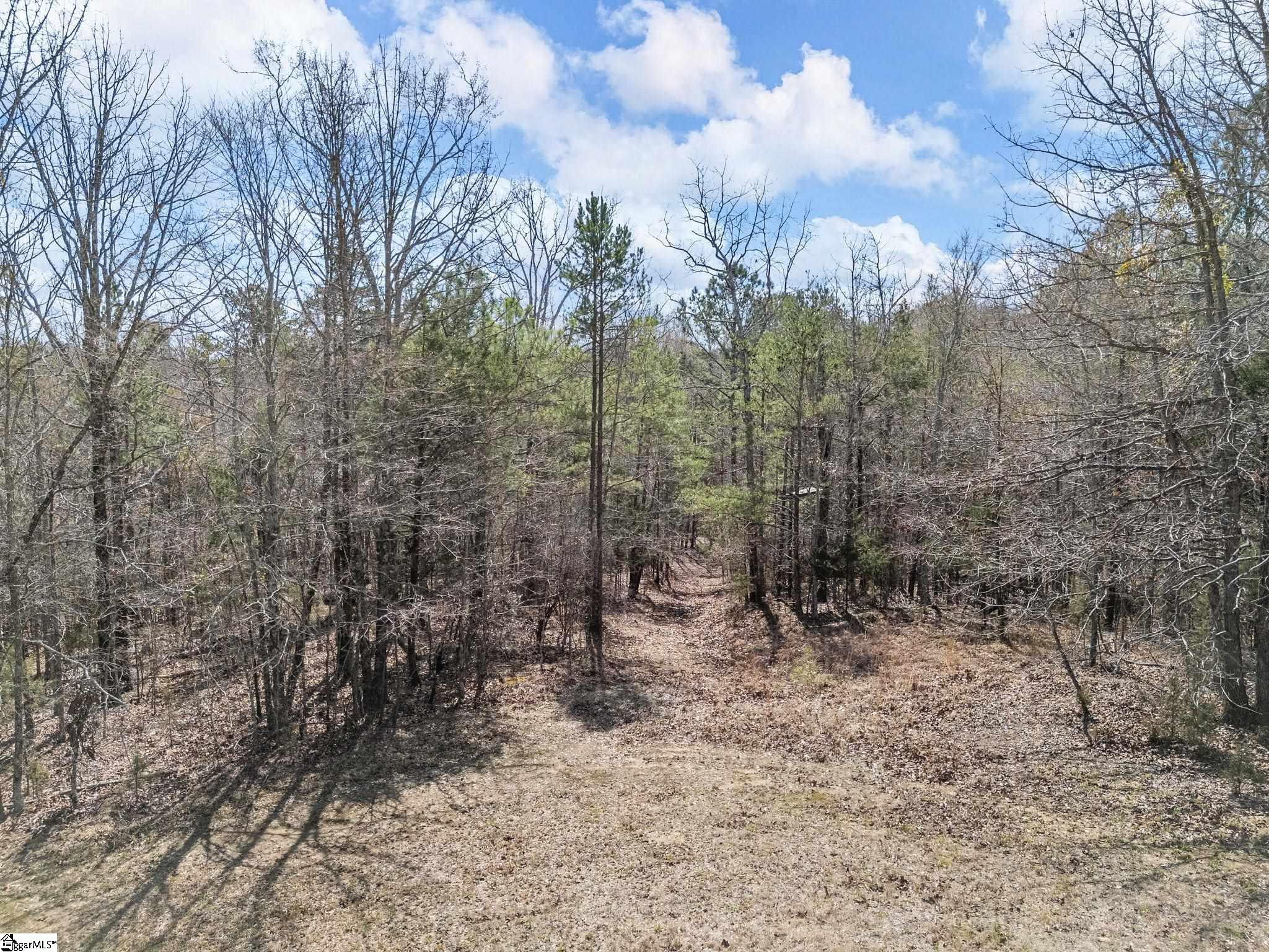 150 Morris Road Property Photo 14