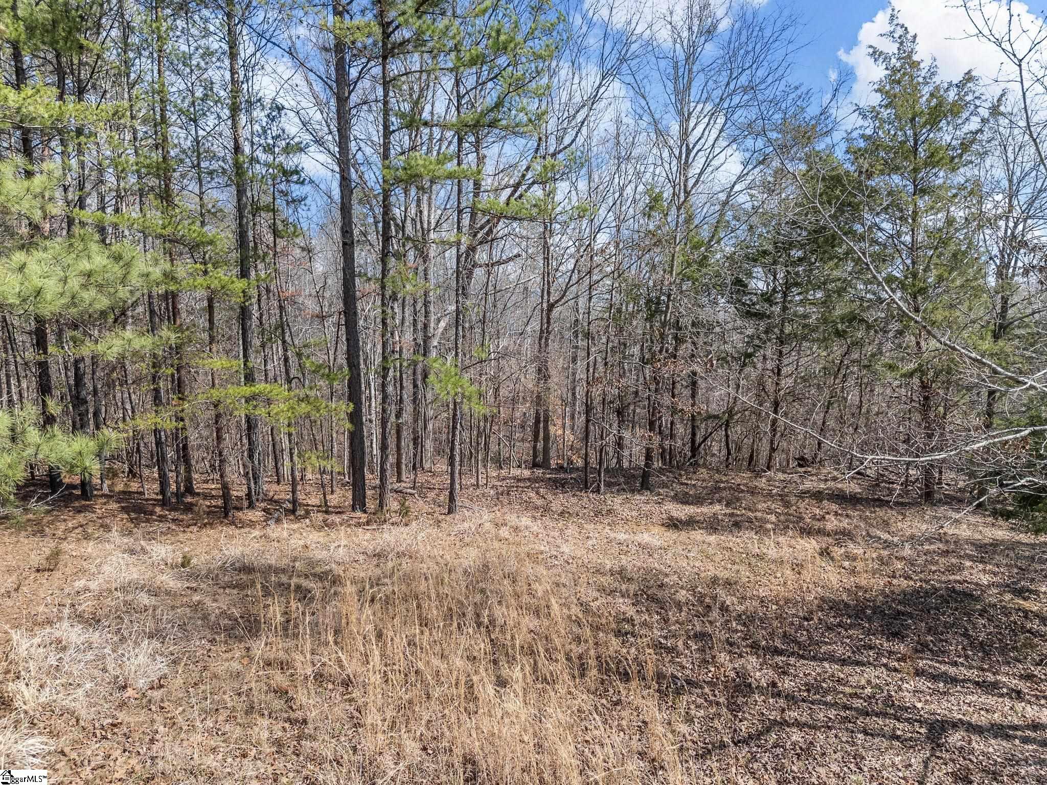 150 Morris Road Property Photo 15