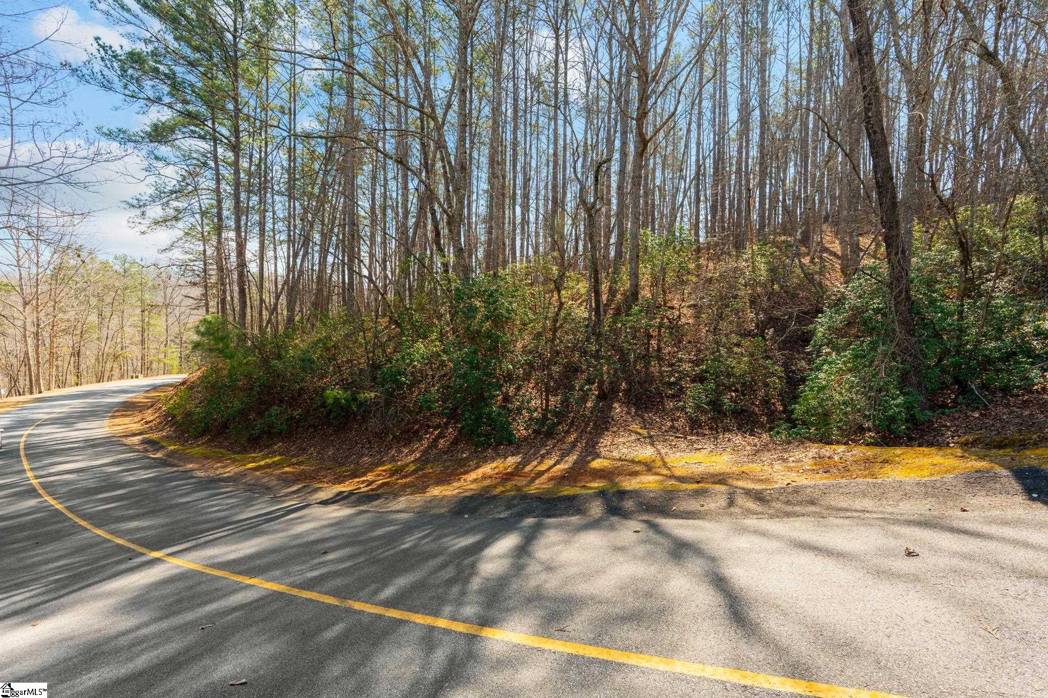 1584333 Property Photo 6