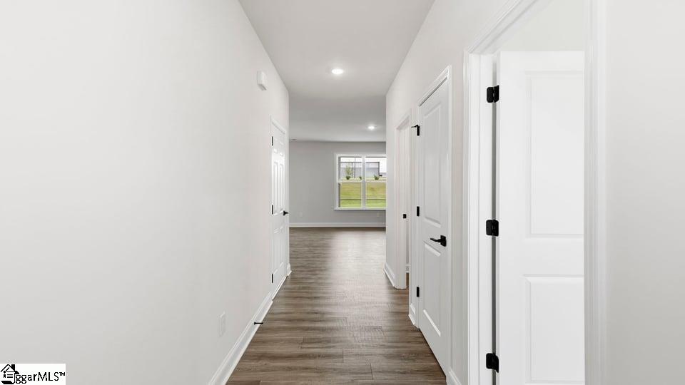 241 Chapel Creek Court Property Photo 5