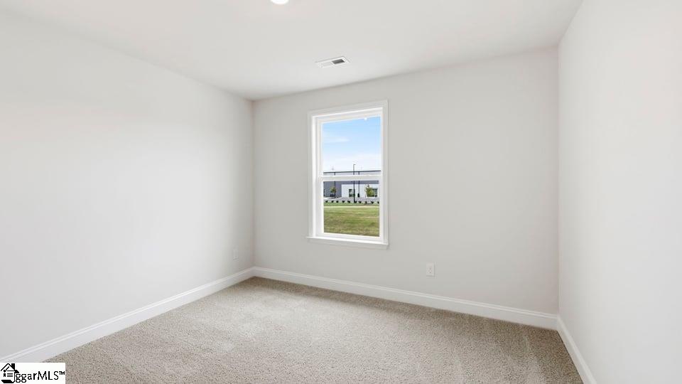 241 Chapel Creek Court Property Photo 23
