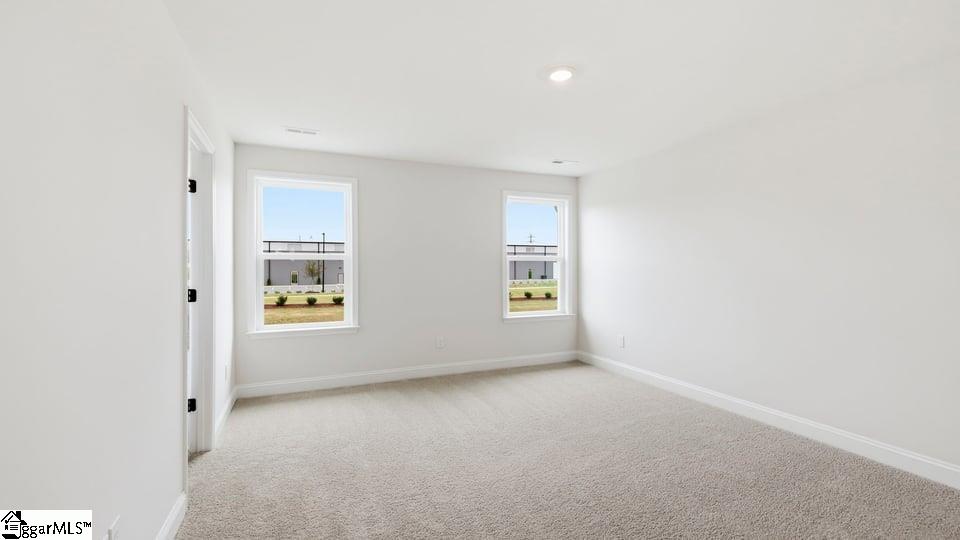 241 Chapel Creek Court Property Photo 28