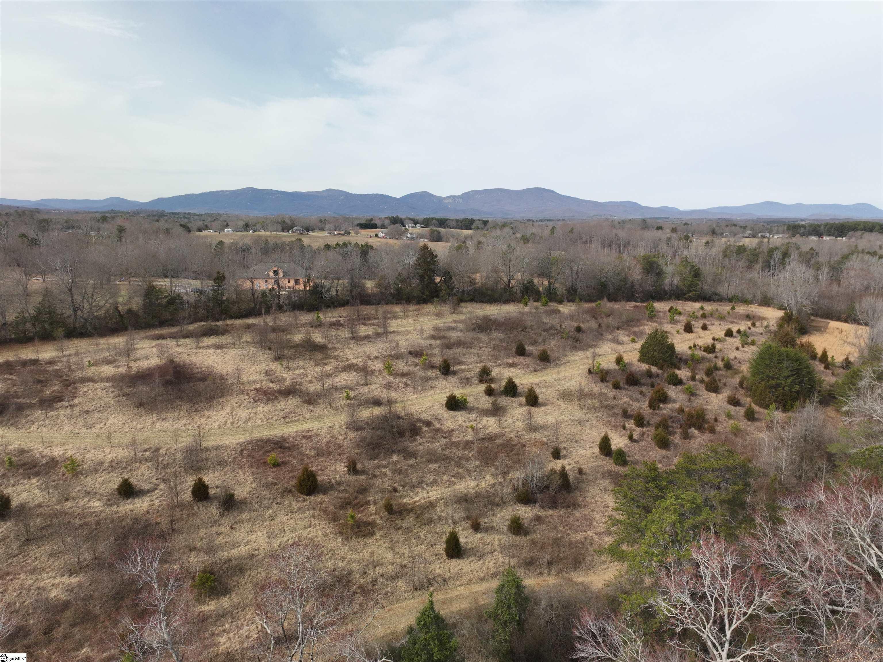 4525 Babb Road Property Photo 6