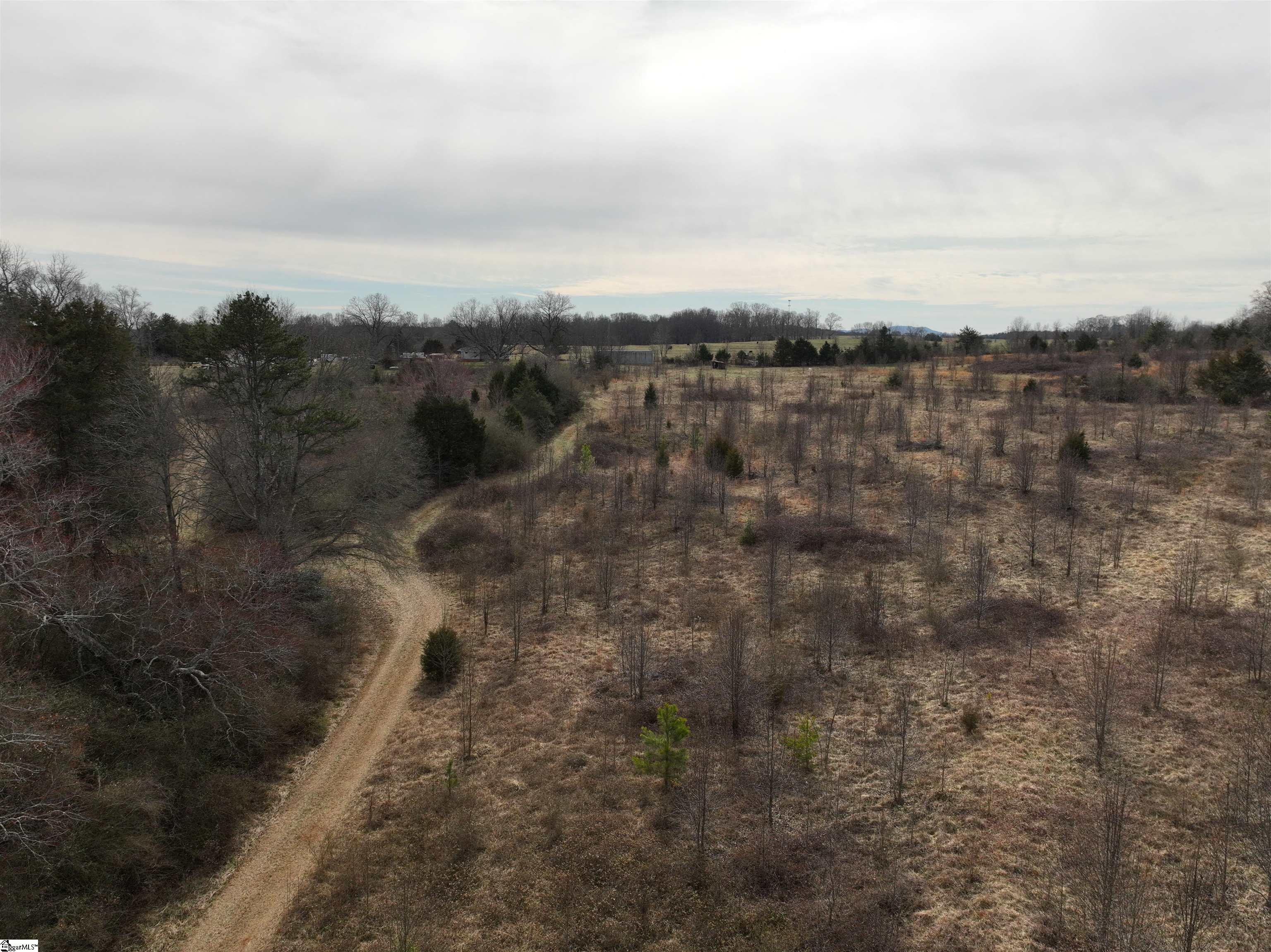 4525 Babb Road Property Photo 10