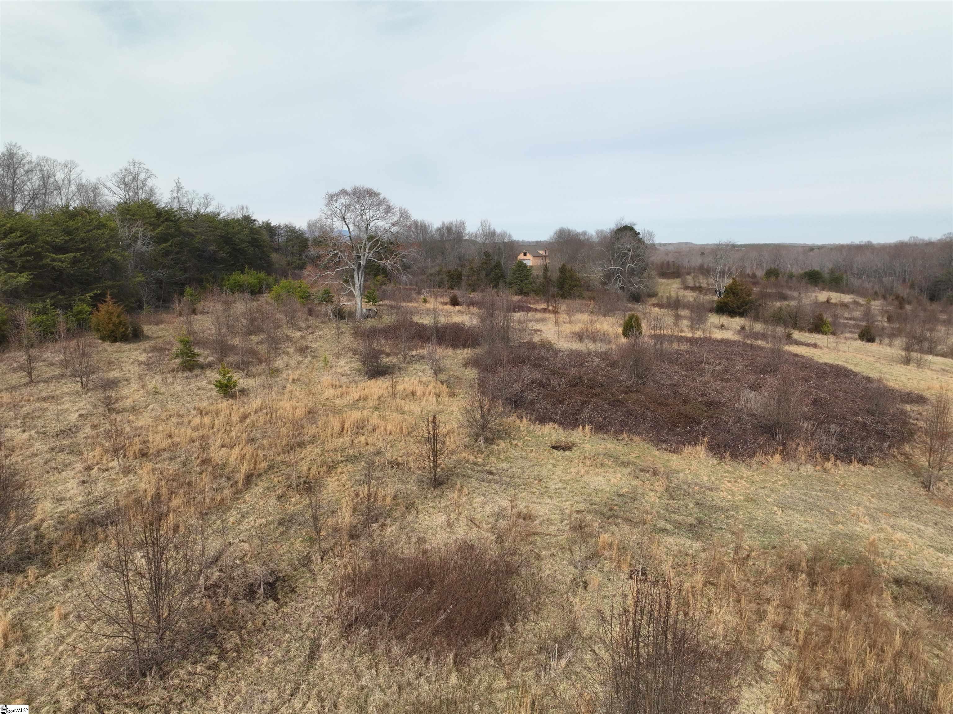 4525 Babb Road Property Photo 19