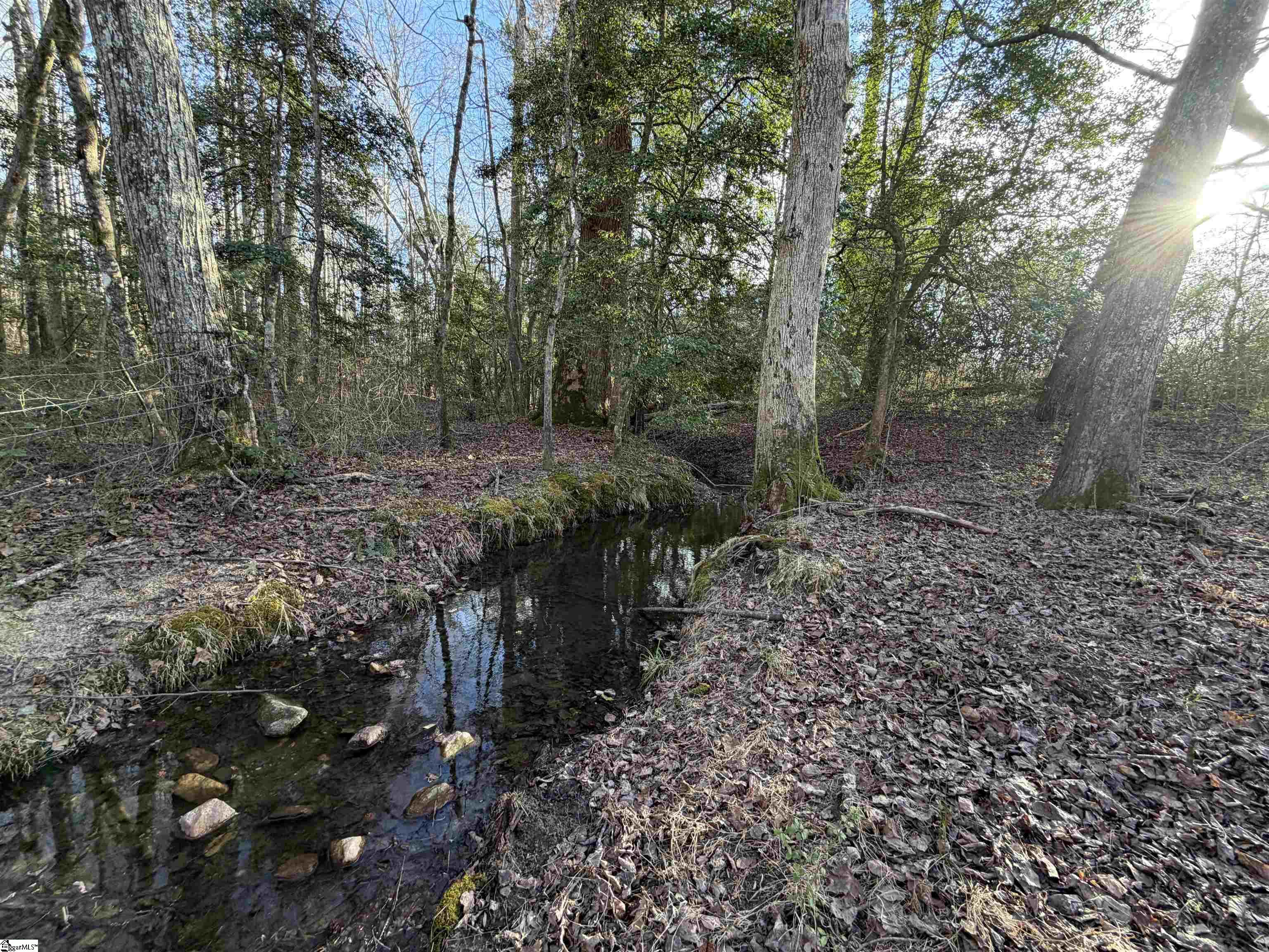 4525 Babb Road Property Photo 29