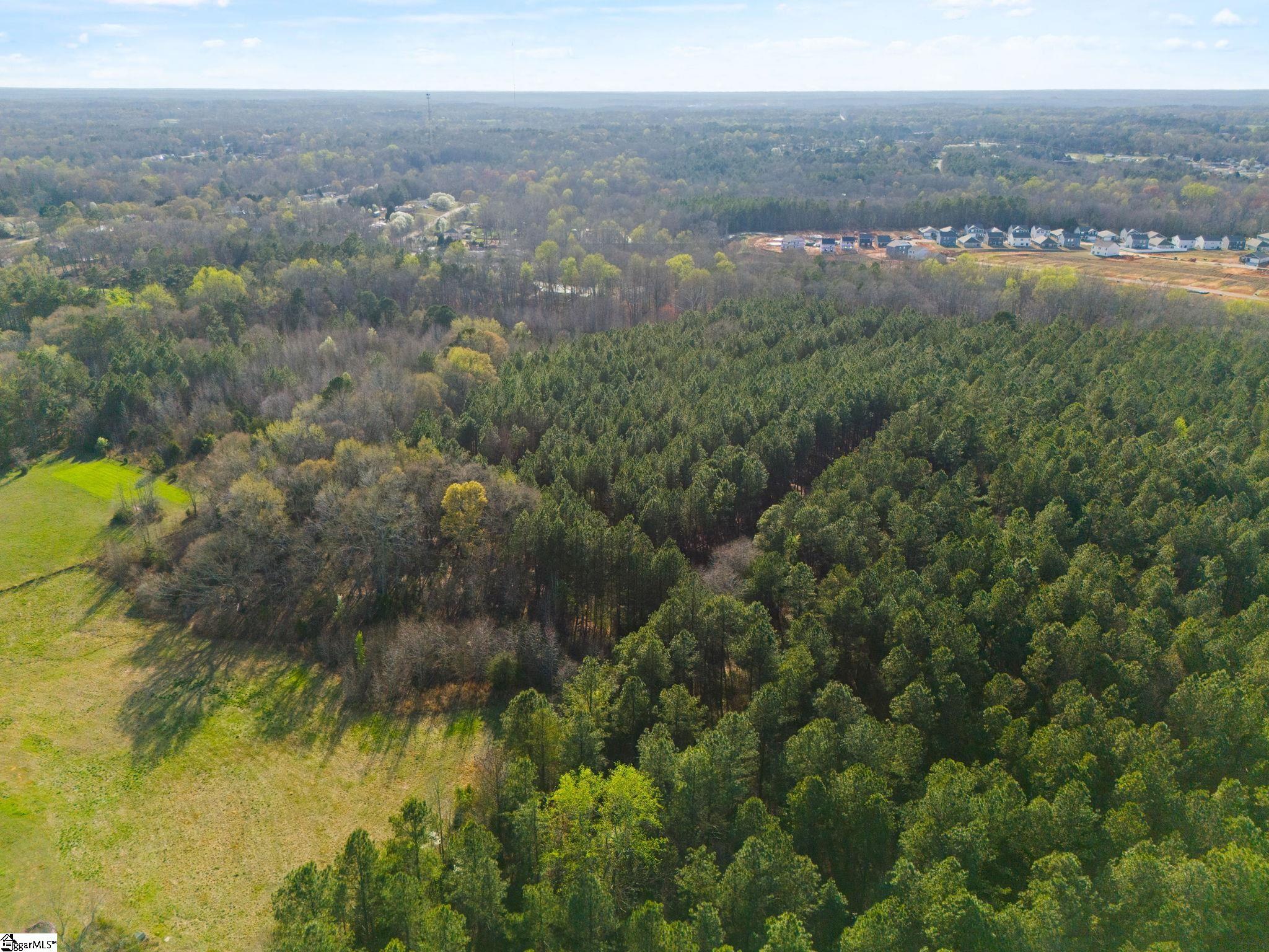 00 Tall Pines Road Property Photo 6