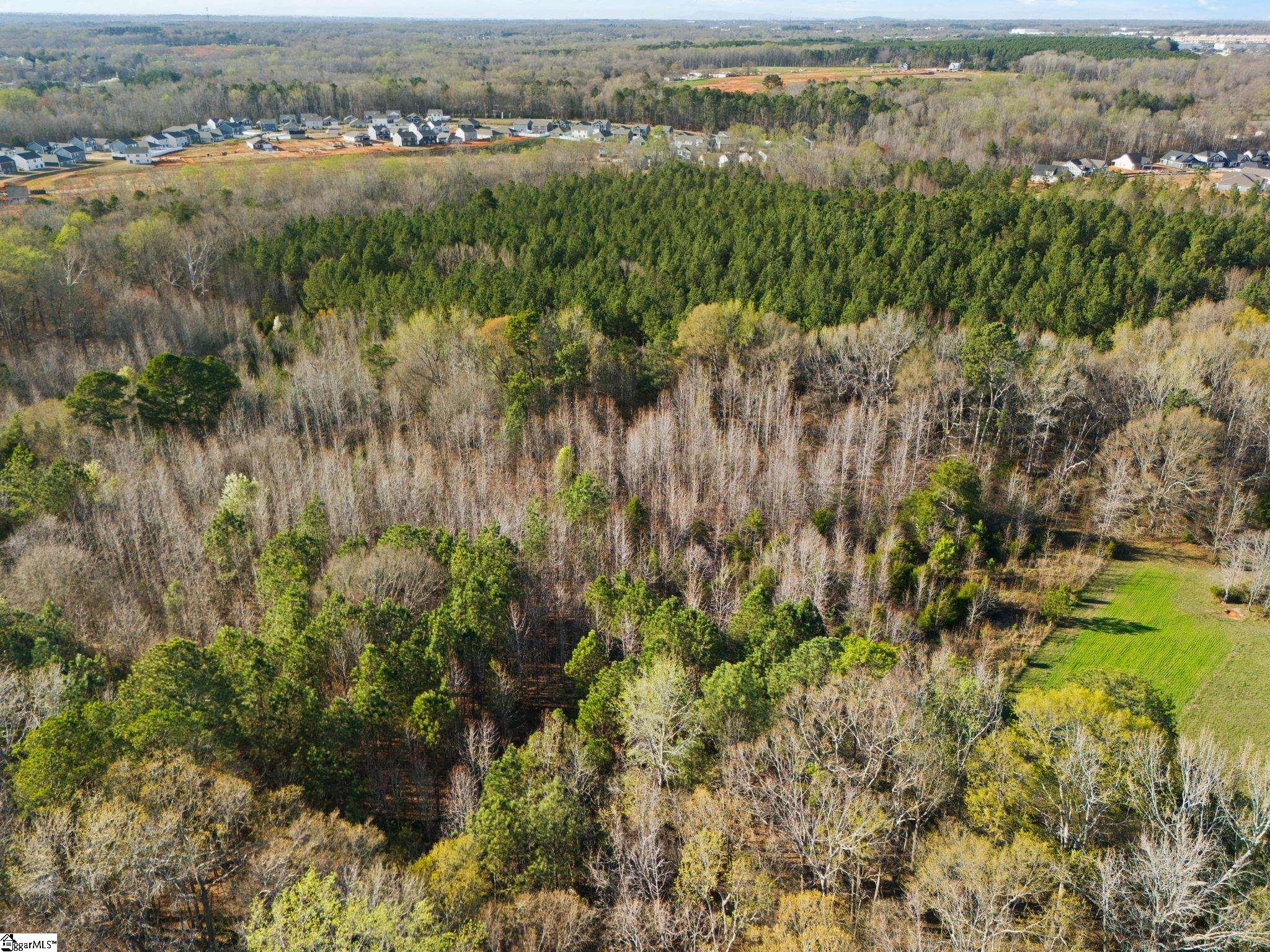 00 Tall Pines Road Property Photo 9