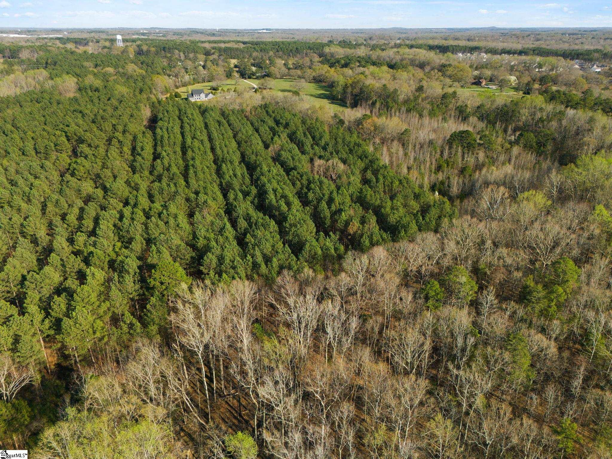 00 Tall Pines Road Property Photo 11